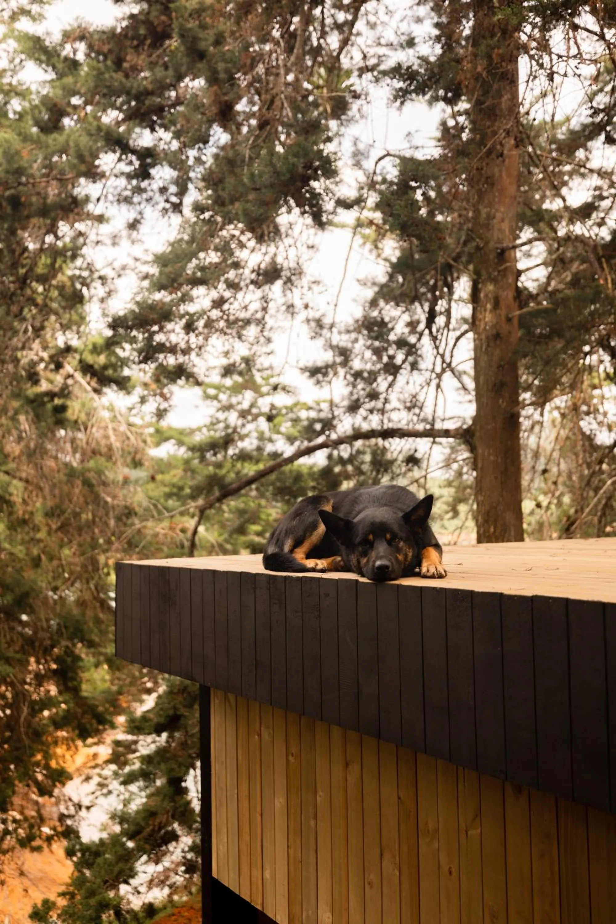 Day in Porto Marina Hotel