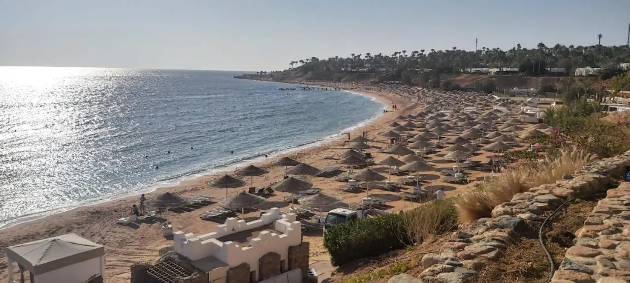 DOMINA CORAL BAY HAREM