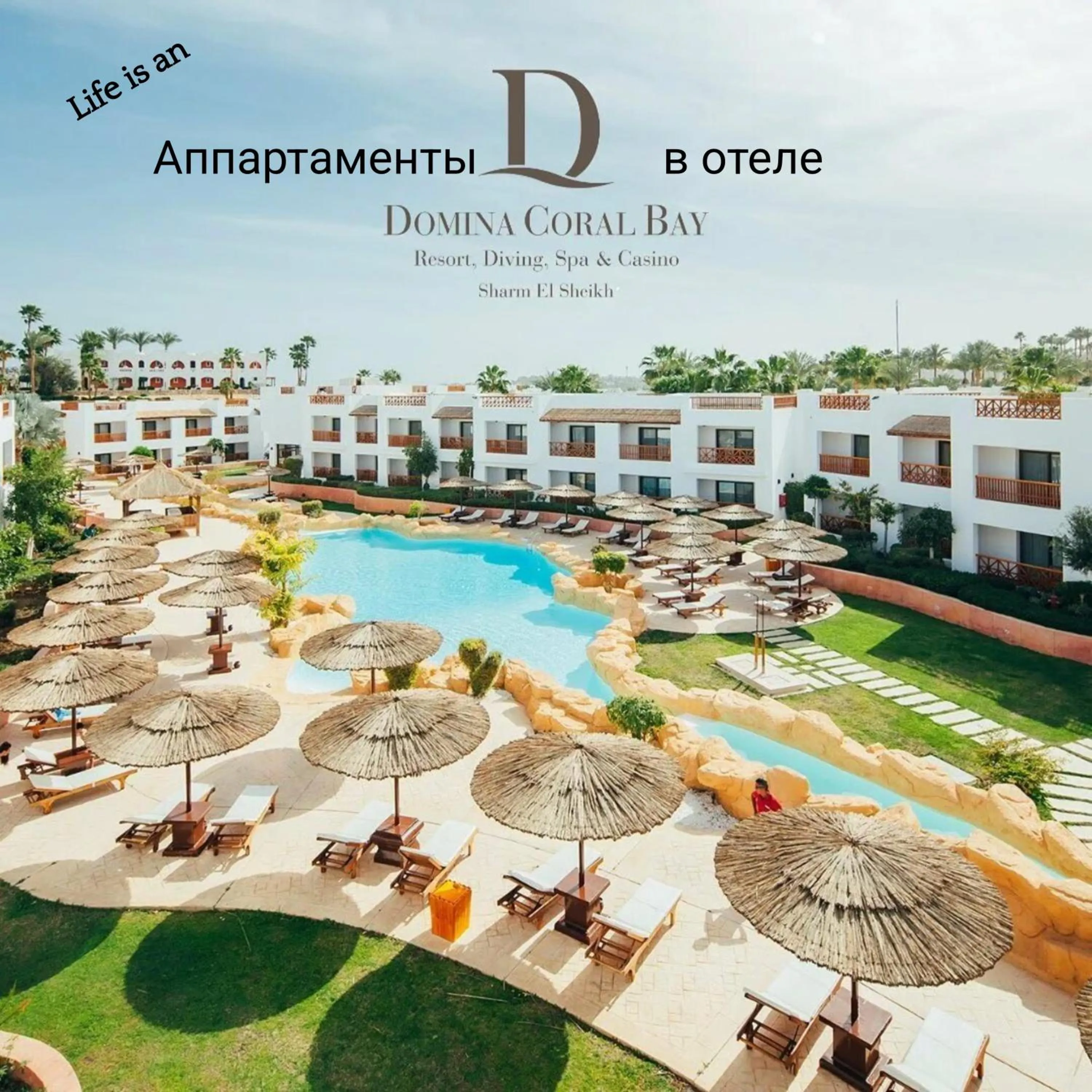 DOMINA CORAL BAY HAREM