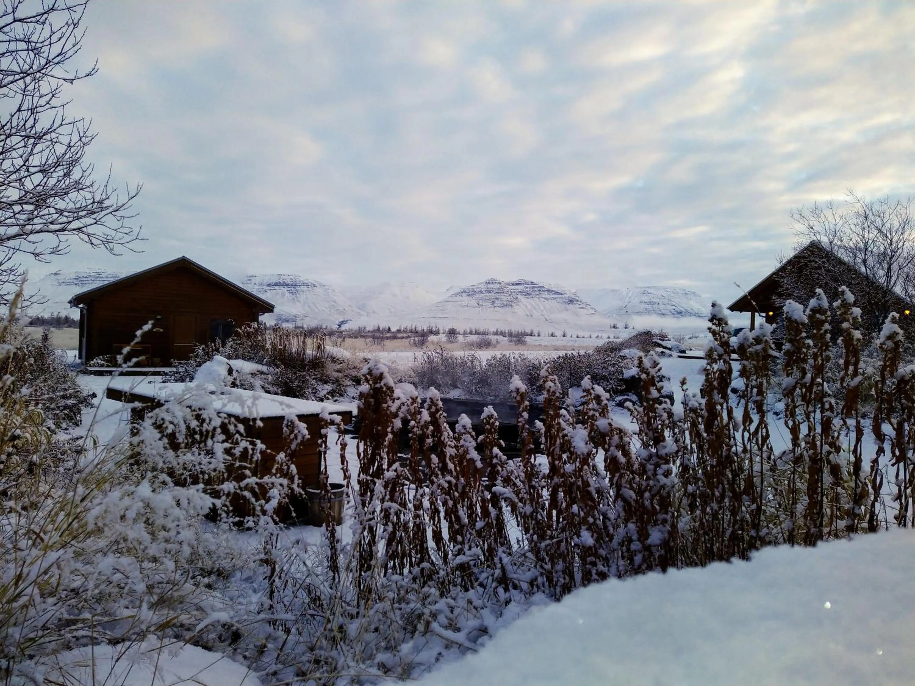Garden view in Hestasport Cottages