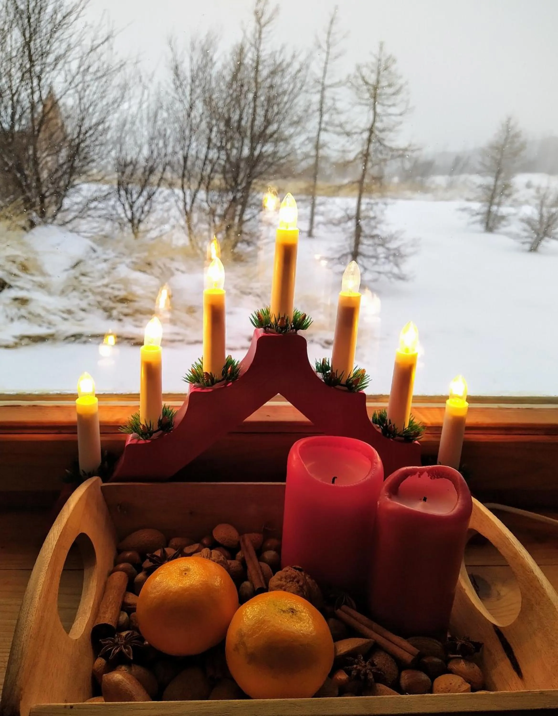 Garden view in Hestasport Cottages