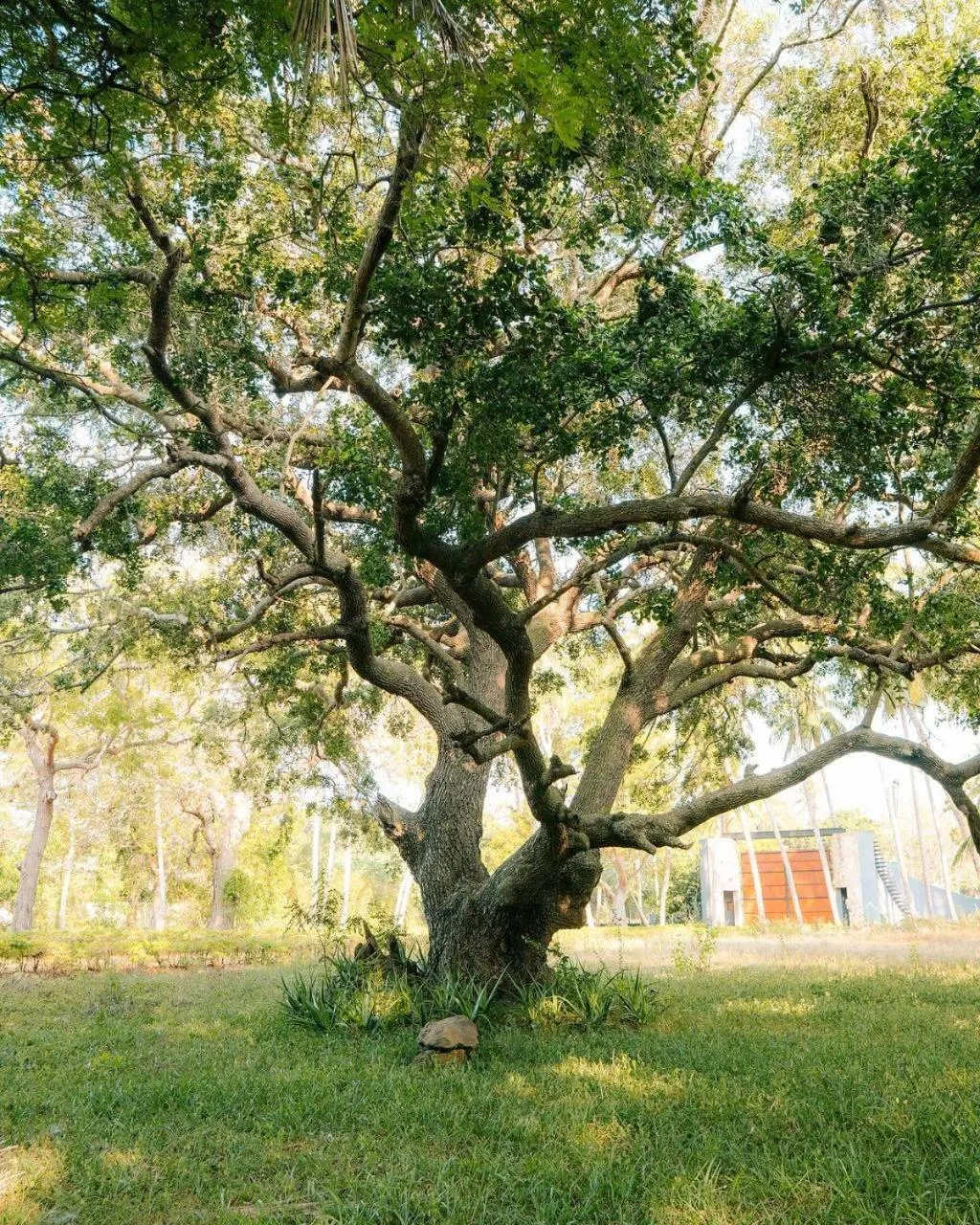 Property building in Peacock Beach Resort and Spa