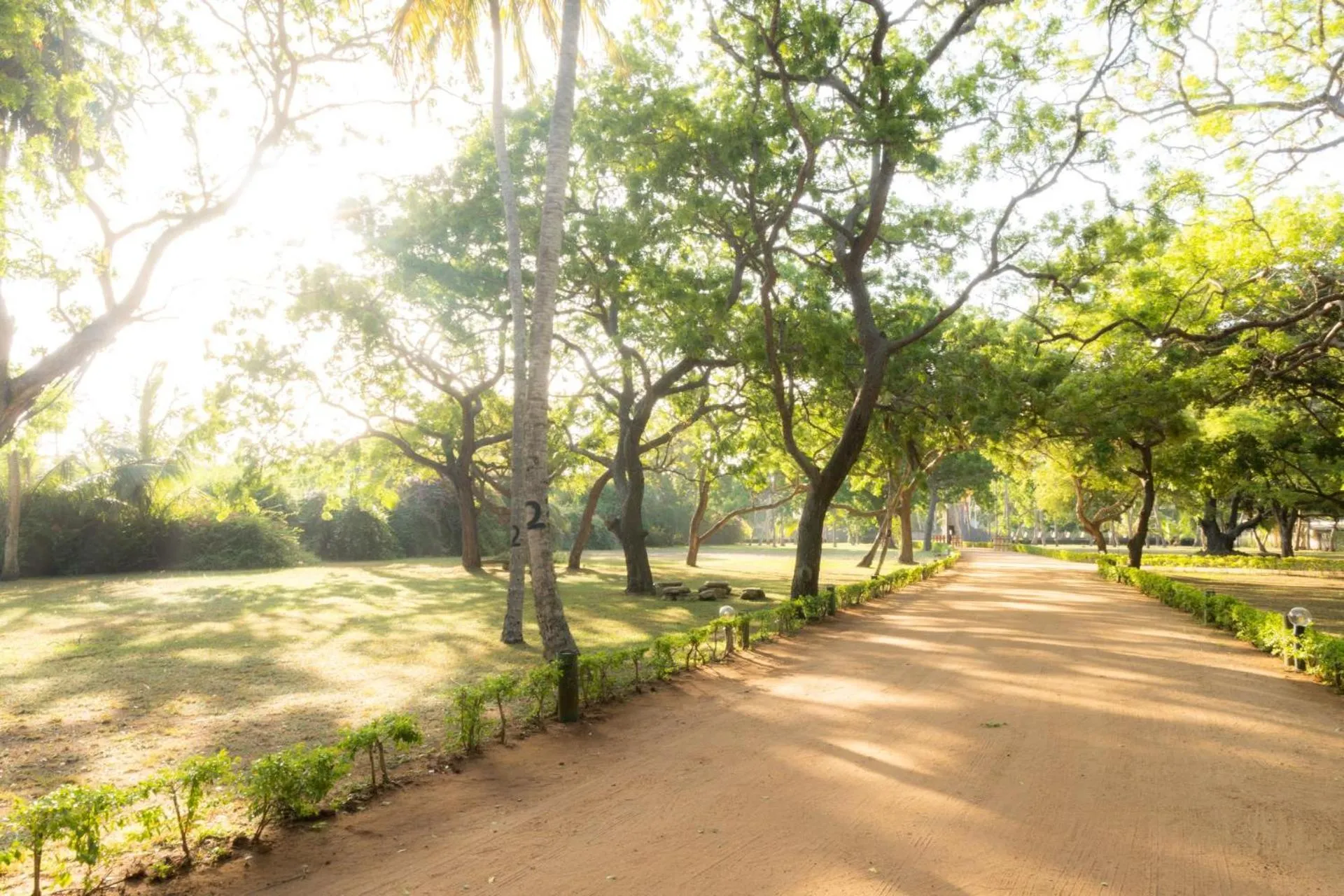 Day in Peacock Beach Resort and Spa