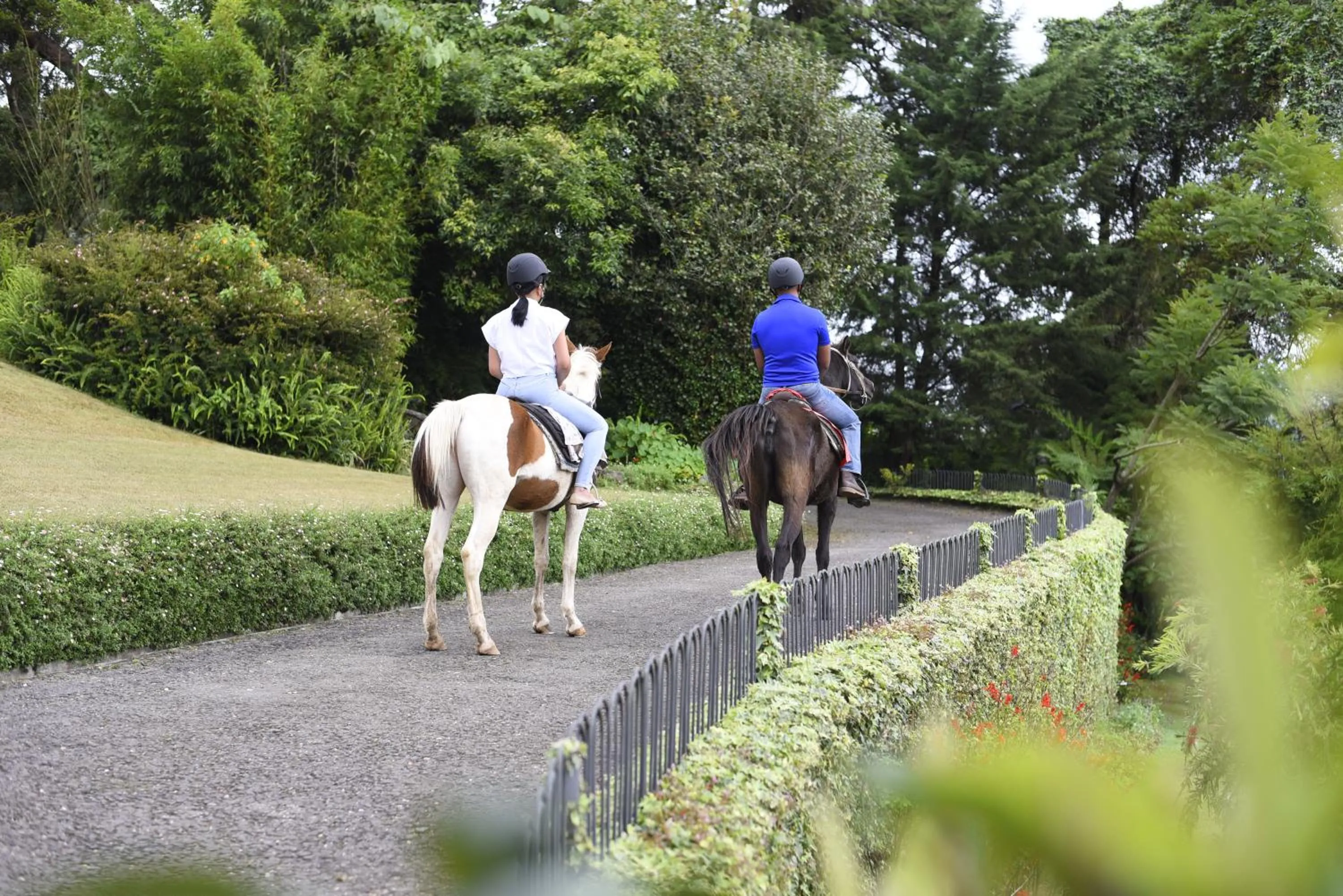 Activities in The Bellwood Manor