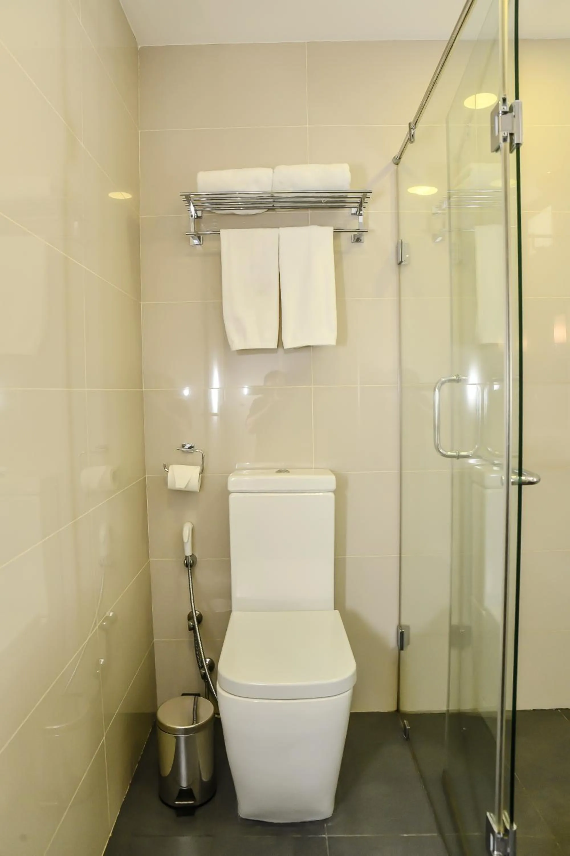 Toilet in Beehive Premier