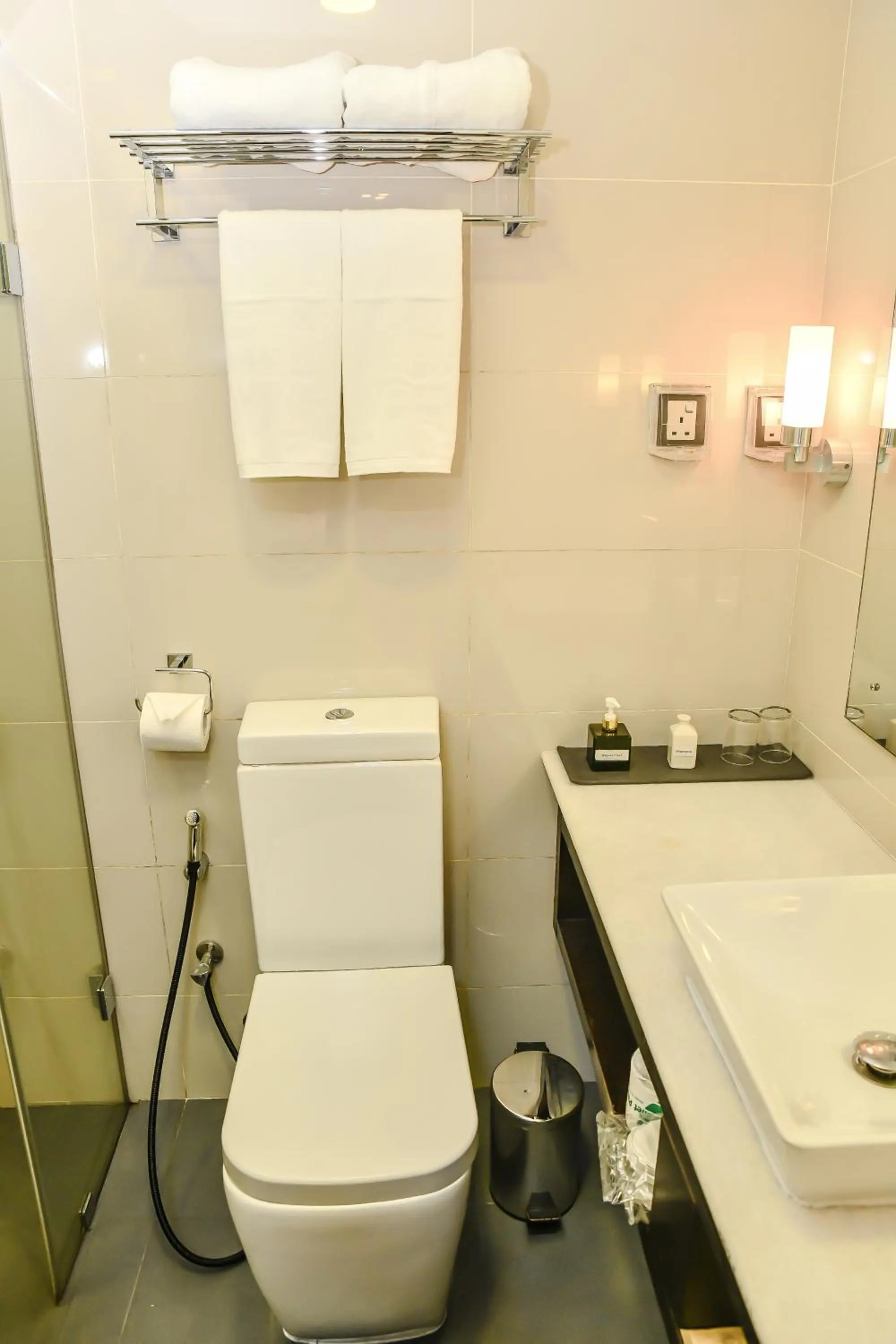 Toilet in Beehive Premier