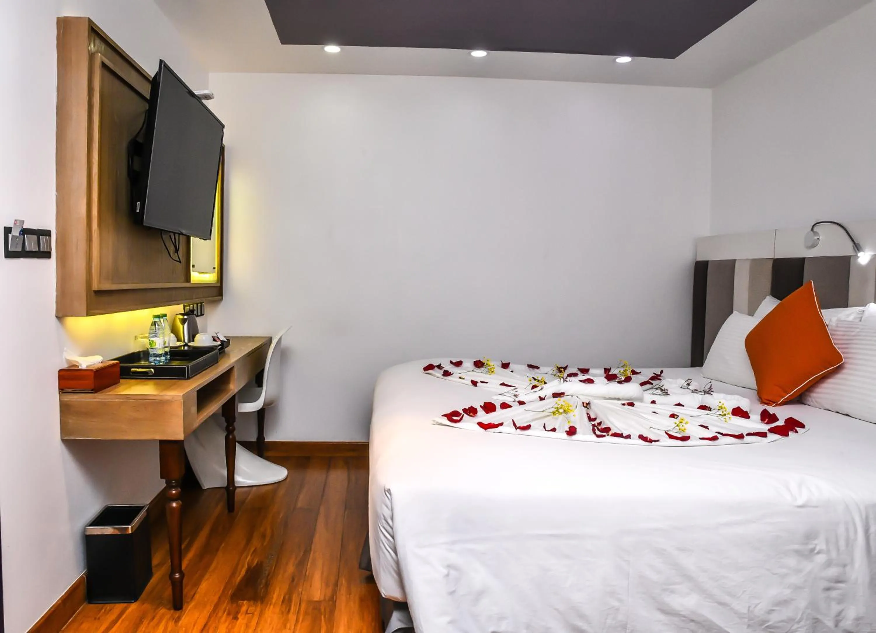 Bed in Beehive Premier