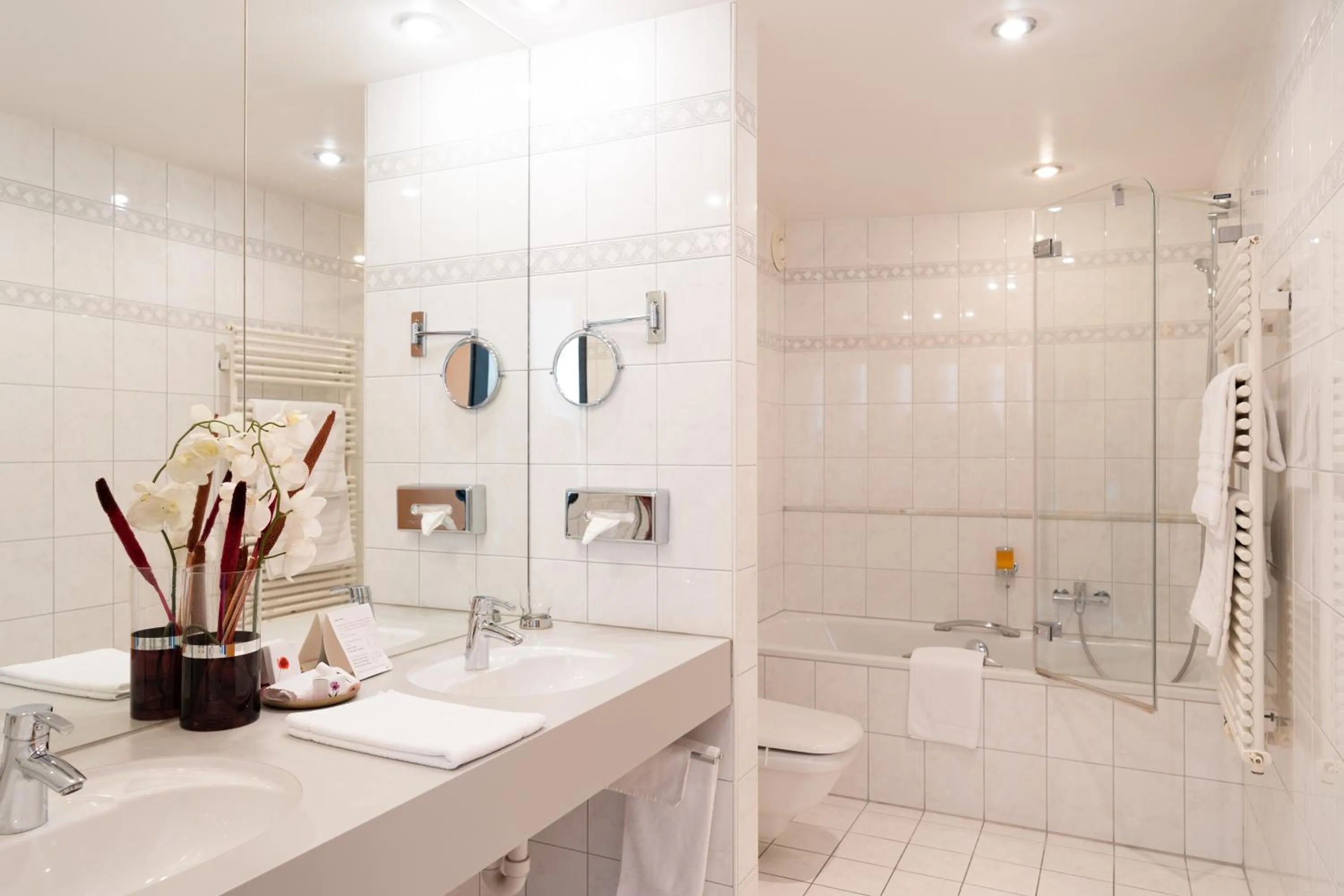 Bathroom in Hotel Schatzmann