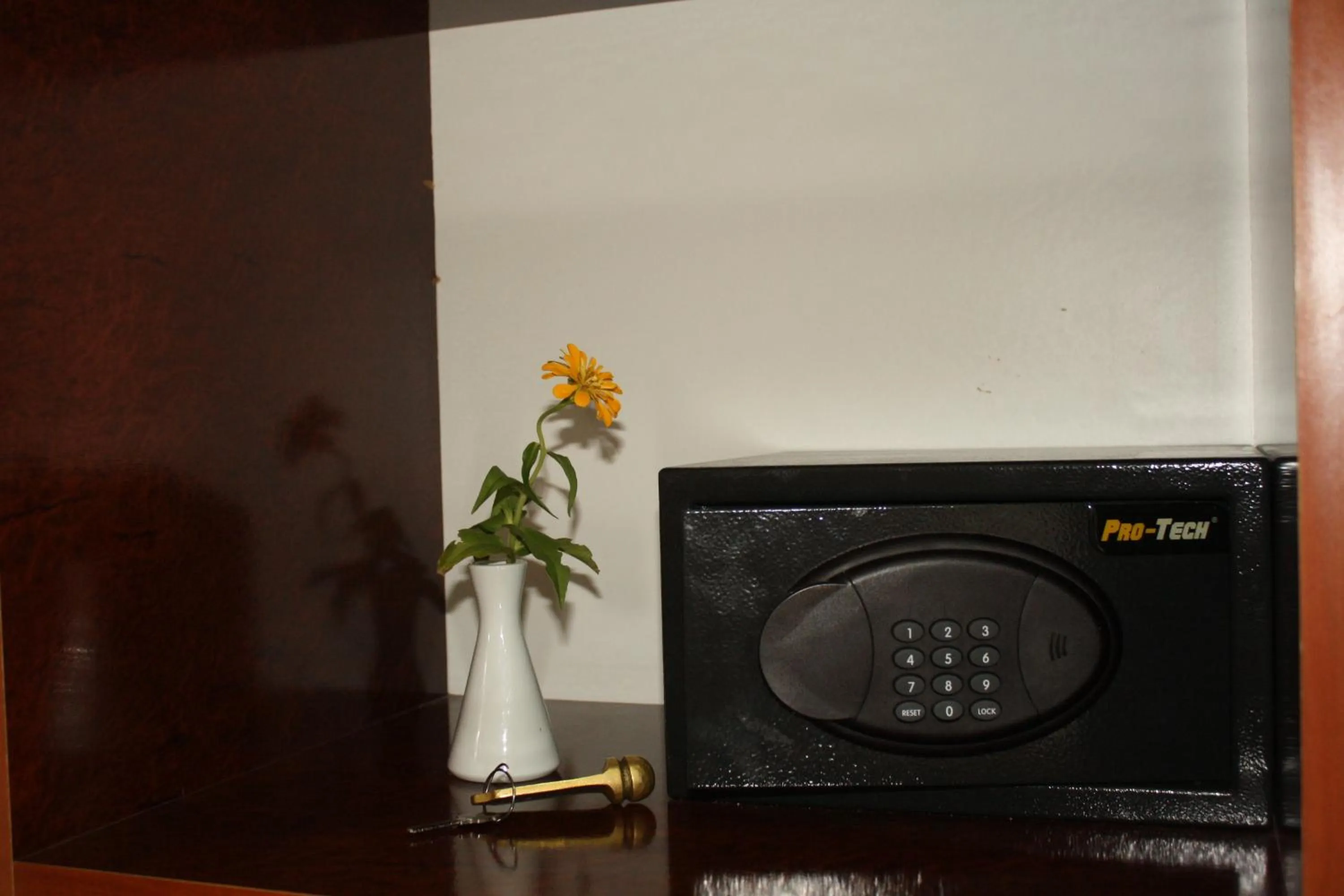 Decorative detail in Hotel Danica