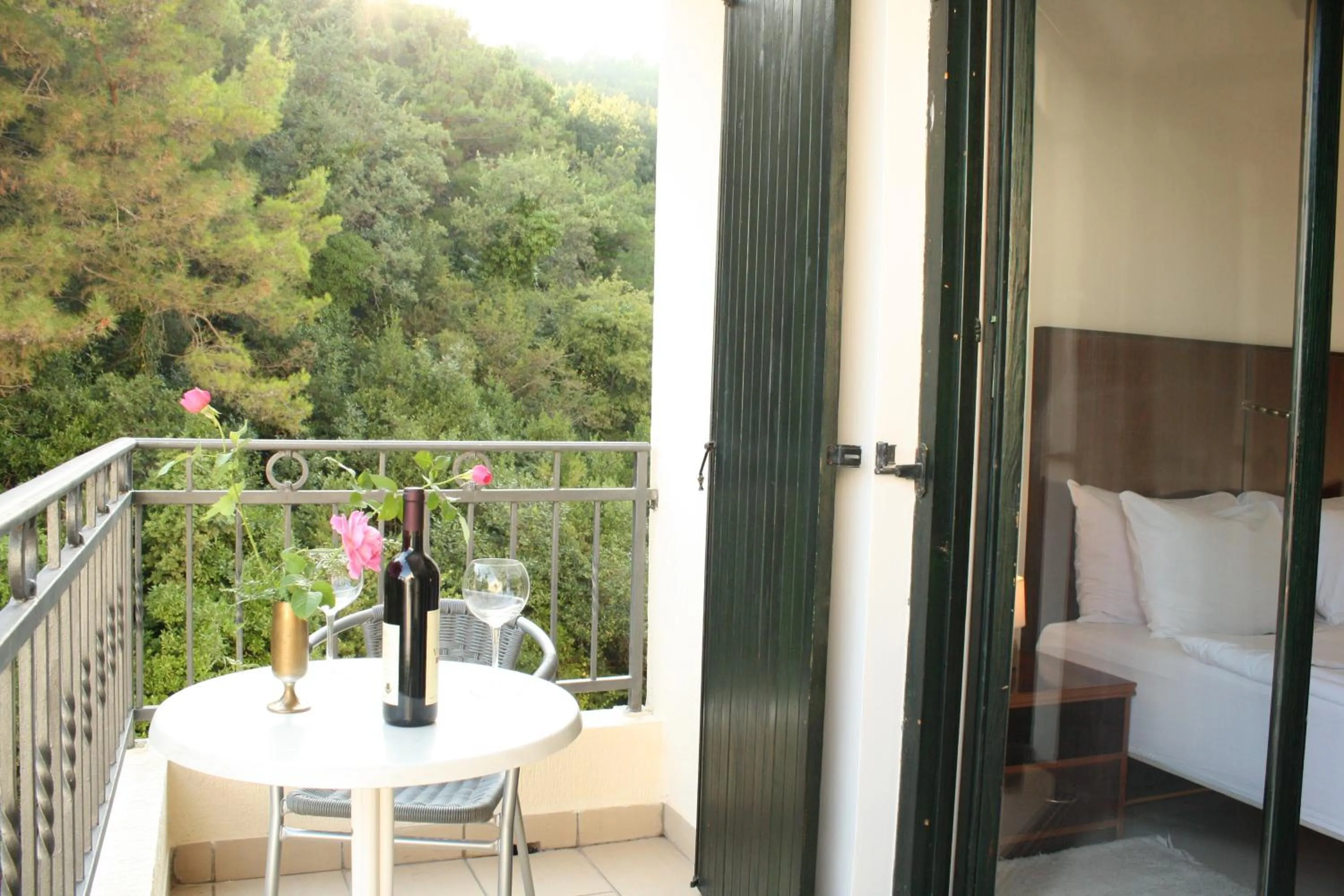 Balcony/Terrace in Hotel Danica