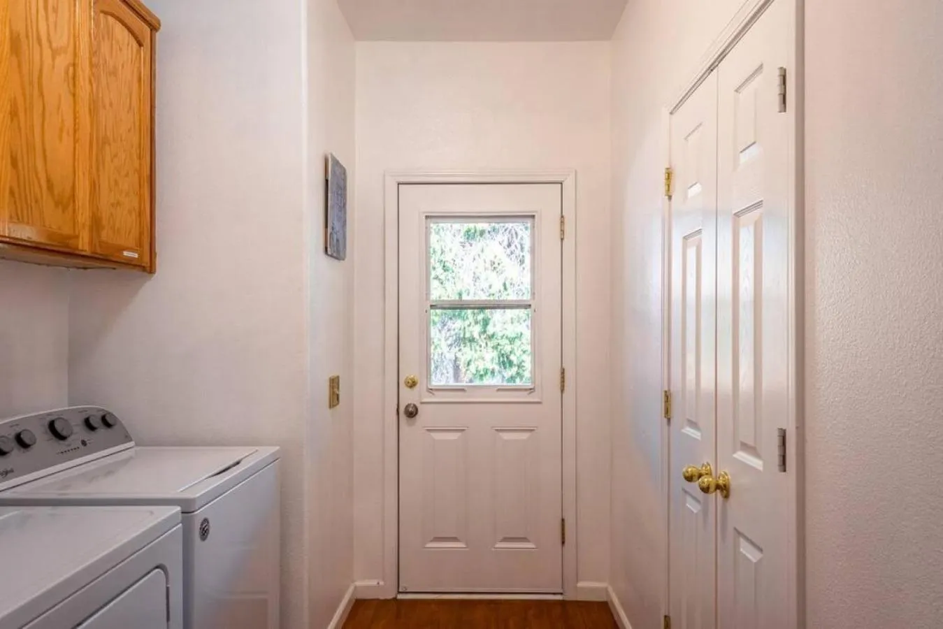 Forest Cabin by China Creek