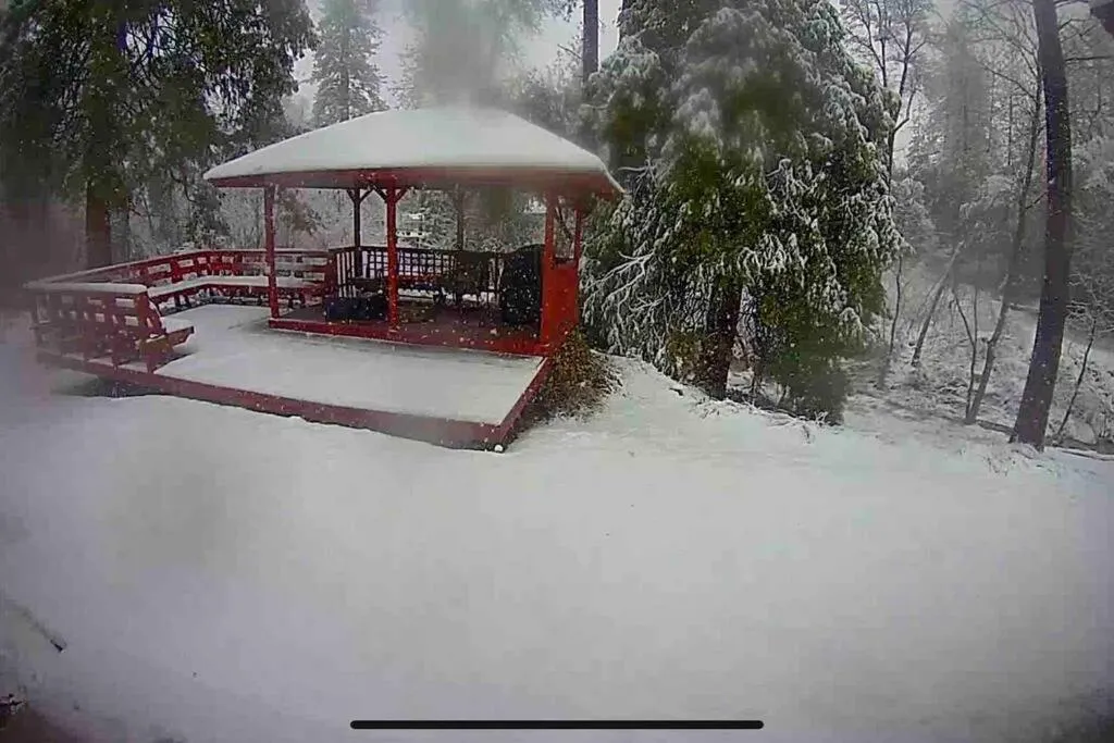 Forest Cabin by China Creek