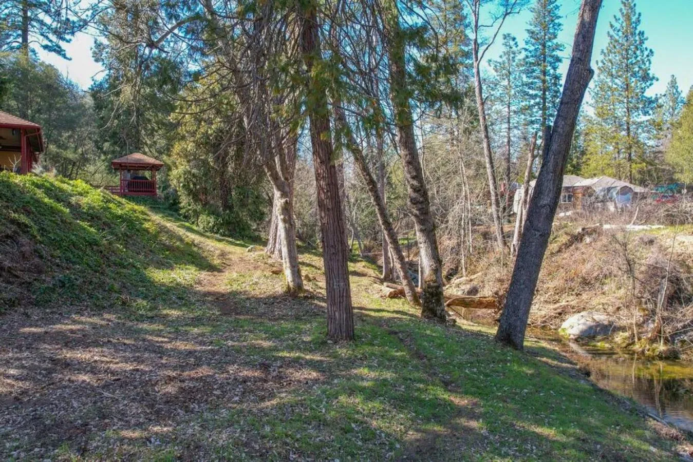 Forest Cabin by China Creek