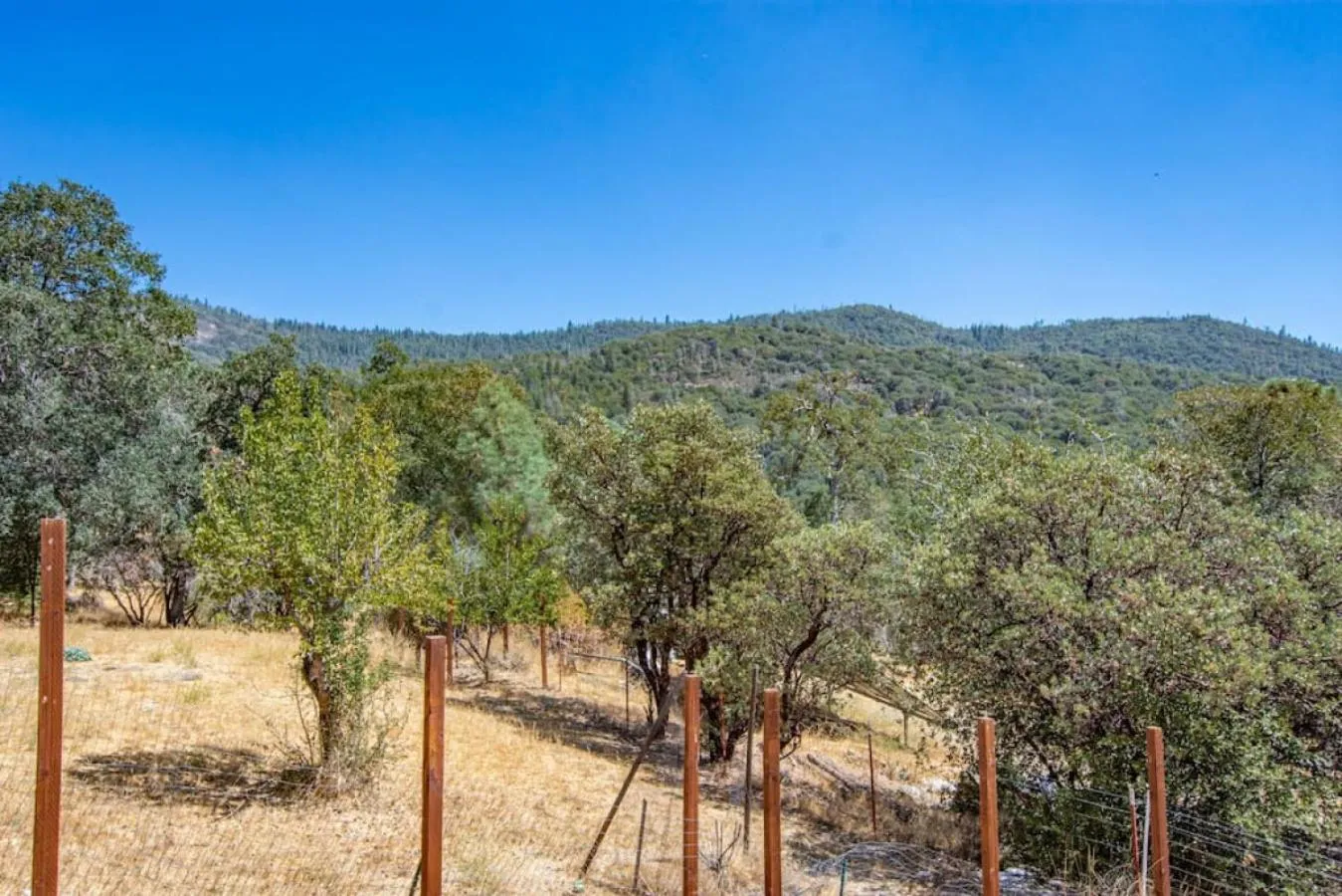 Children play ground in Cherry Cottage 15 min from Yosemite South Entrance