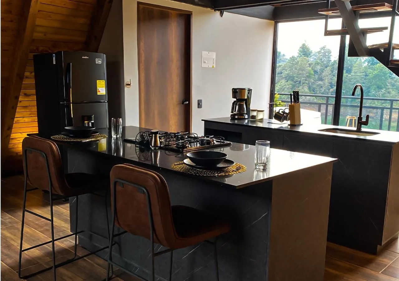 Kitchen or kitchenette in GRETEL CHALETS SUIZO