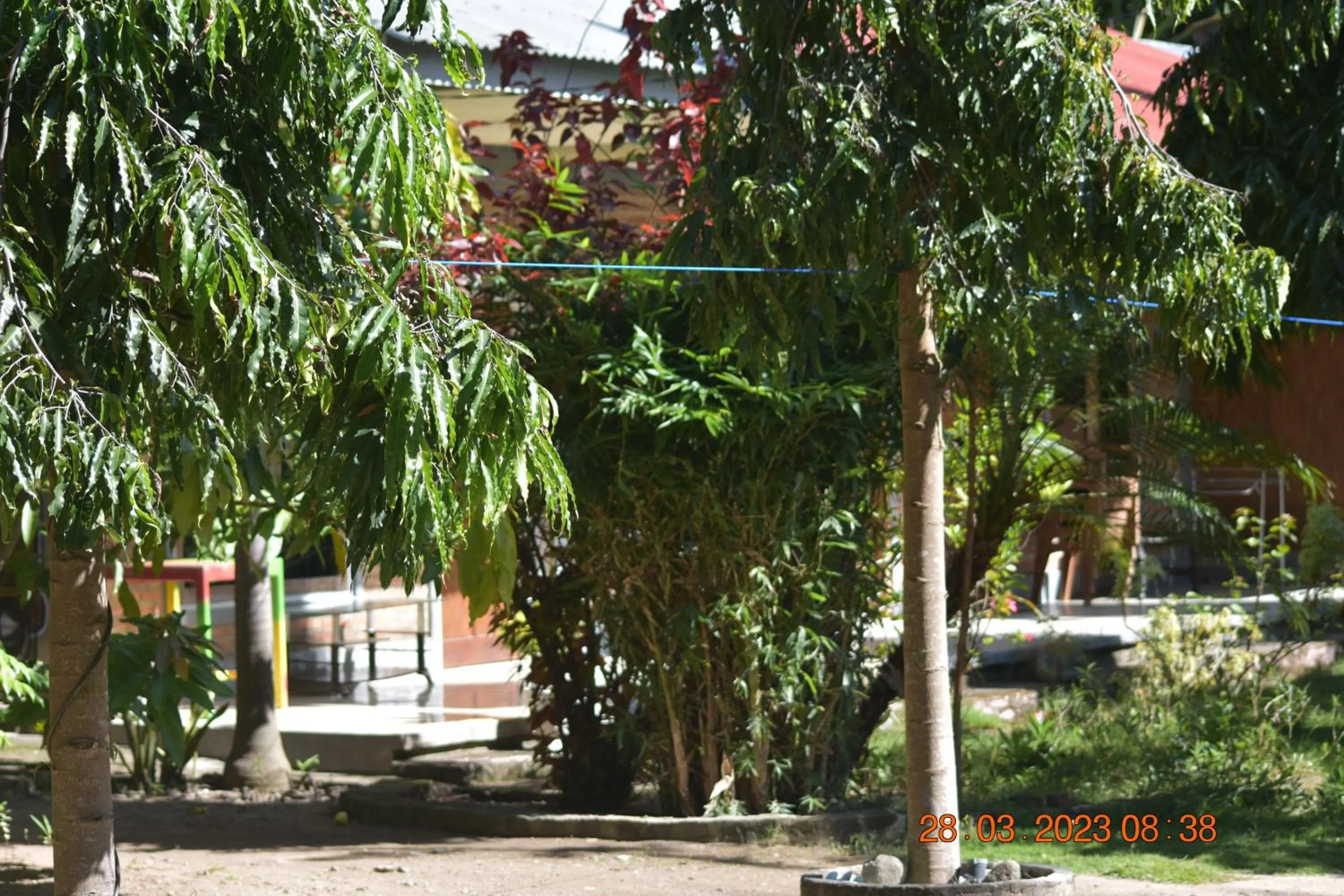 Garden in Del Mar Home Stay