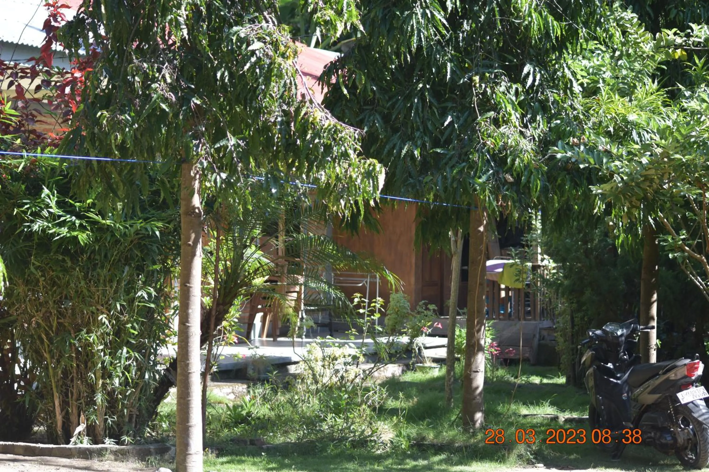 Garden in Del Mar Home Stay