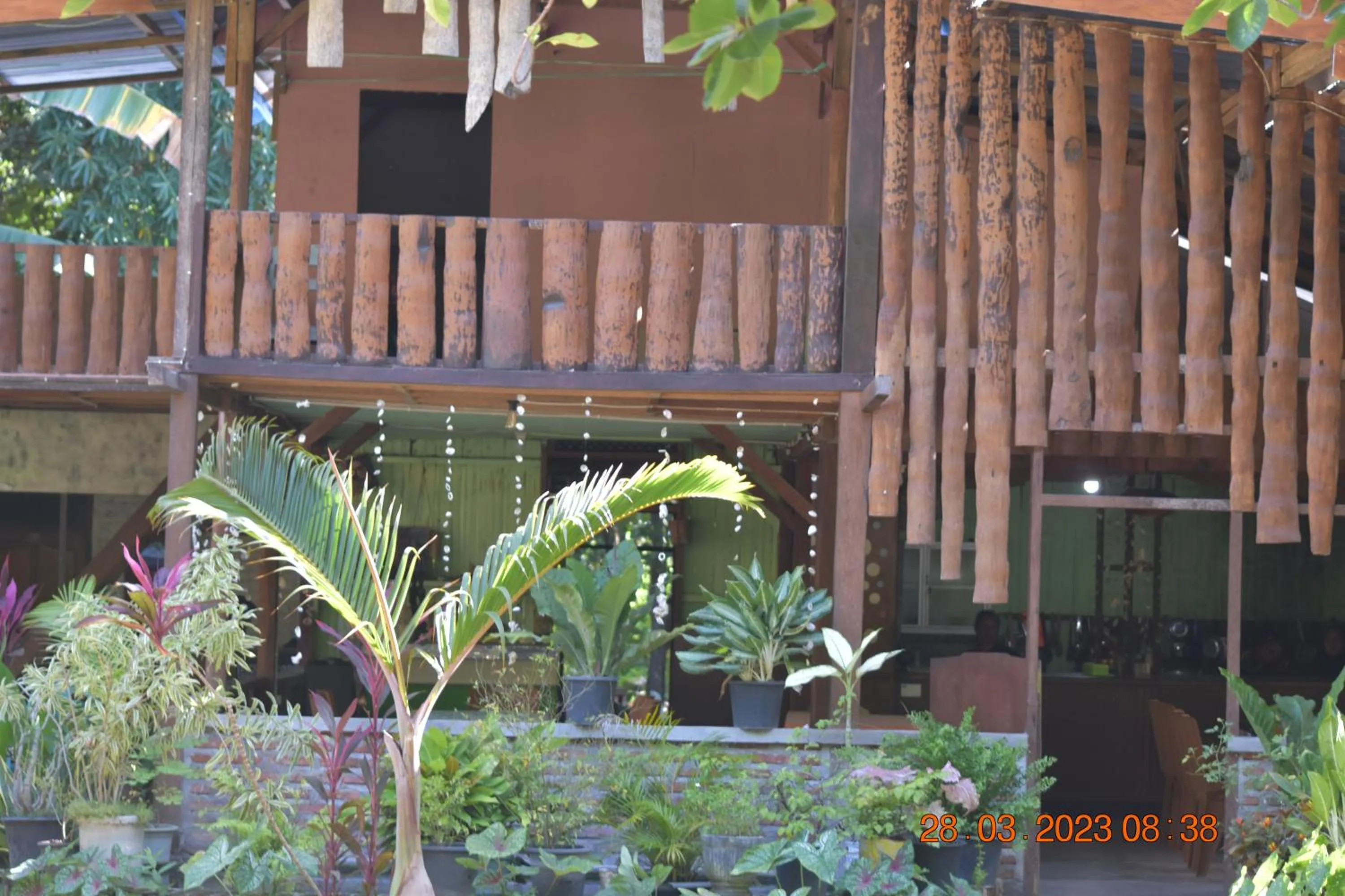 Spring in Del Mar Home Stay