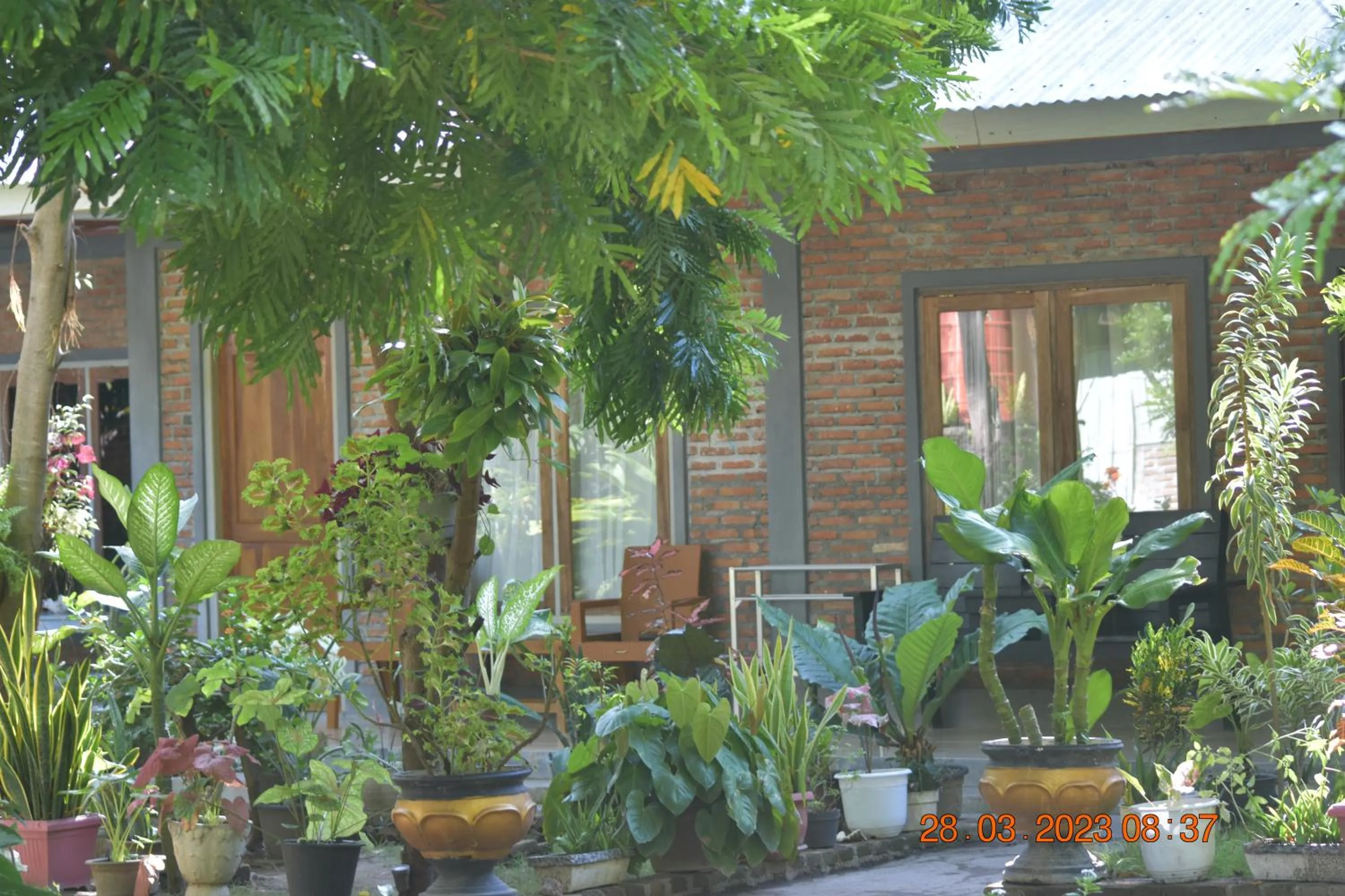 Balcony/Terrace in Del Mar Home Stay