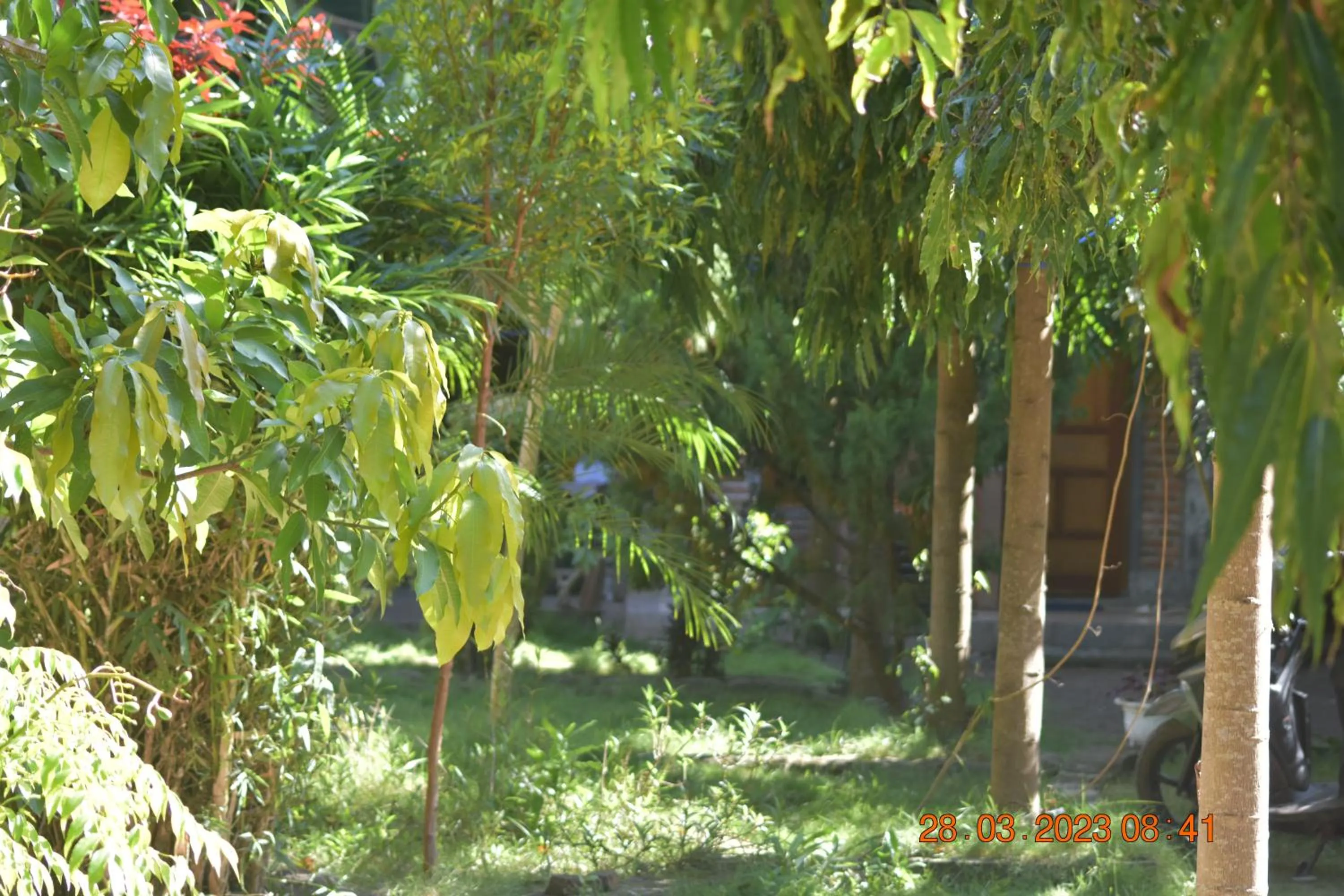 Spring in Del Mar Home Stay