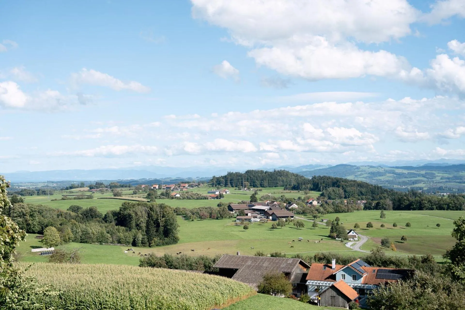 View (from property/room) in Hotel & Restaurant Nollen