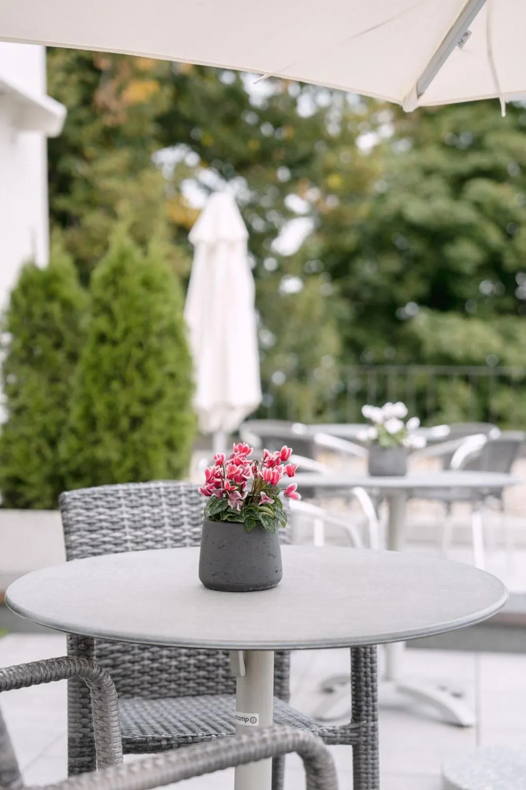 View (from property/room) in Hotel & Restaurant Nollen