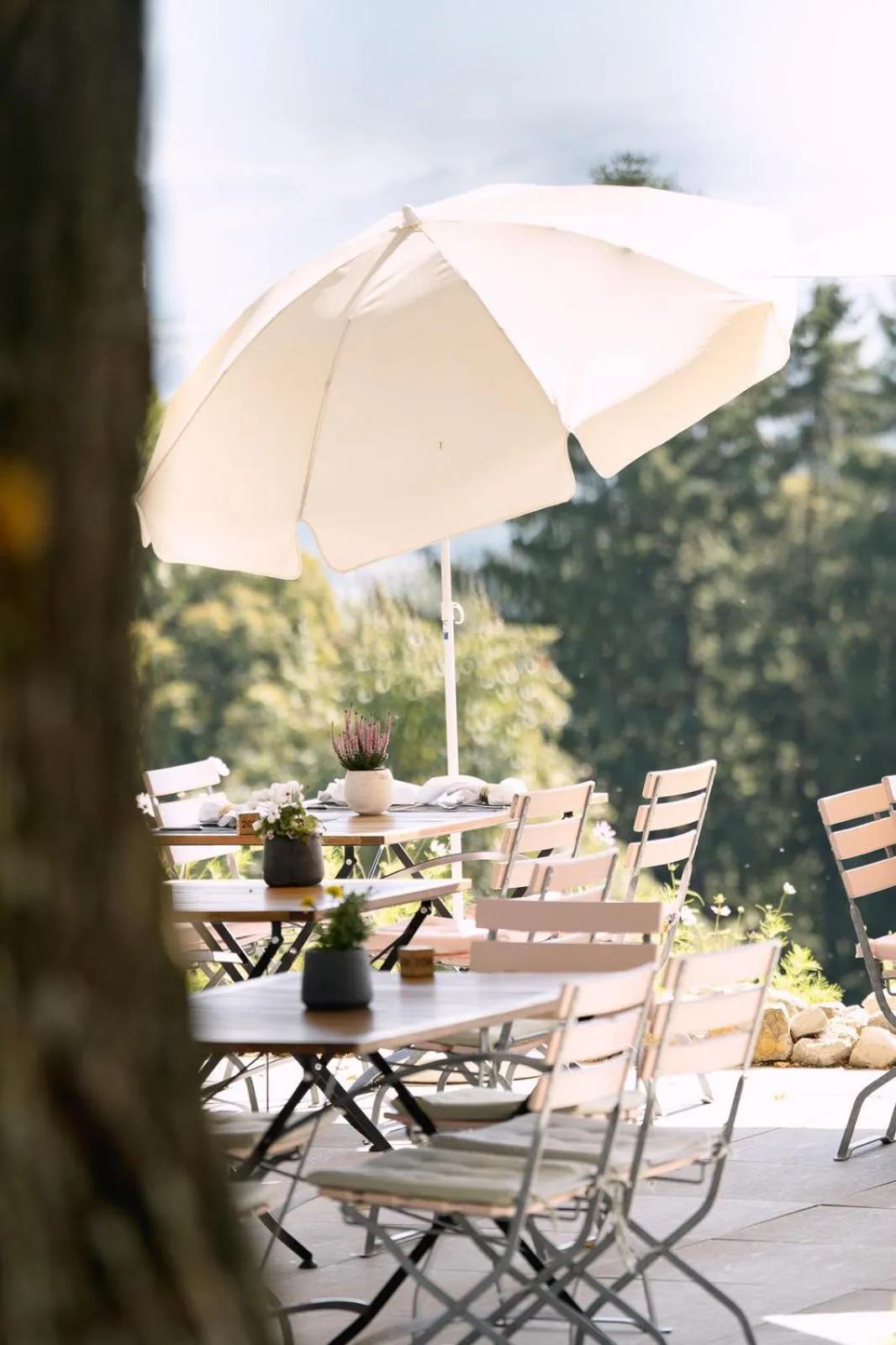 Restaurant/places to eat in Hotel & Restaurant Nollen