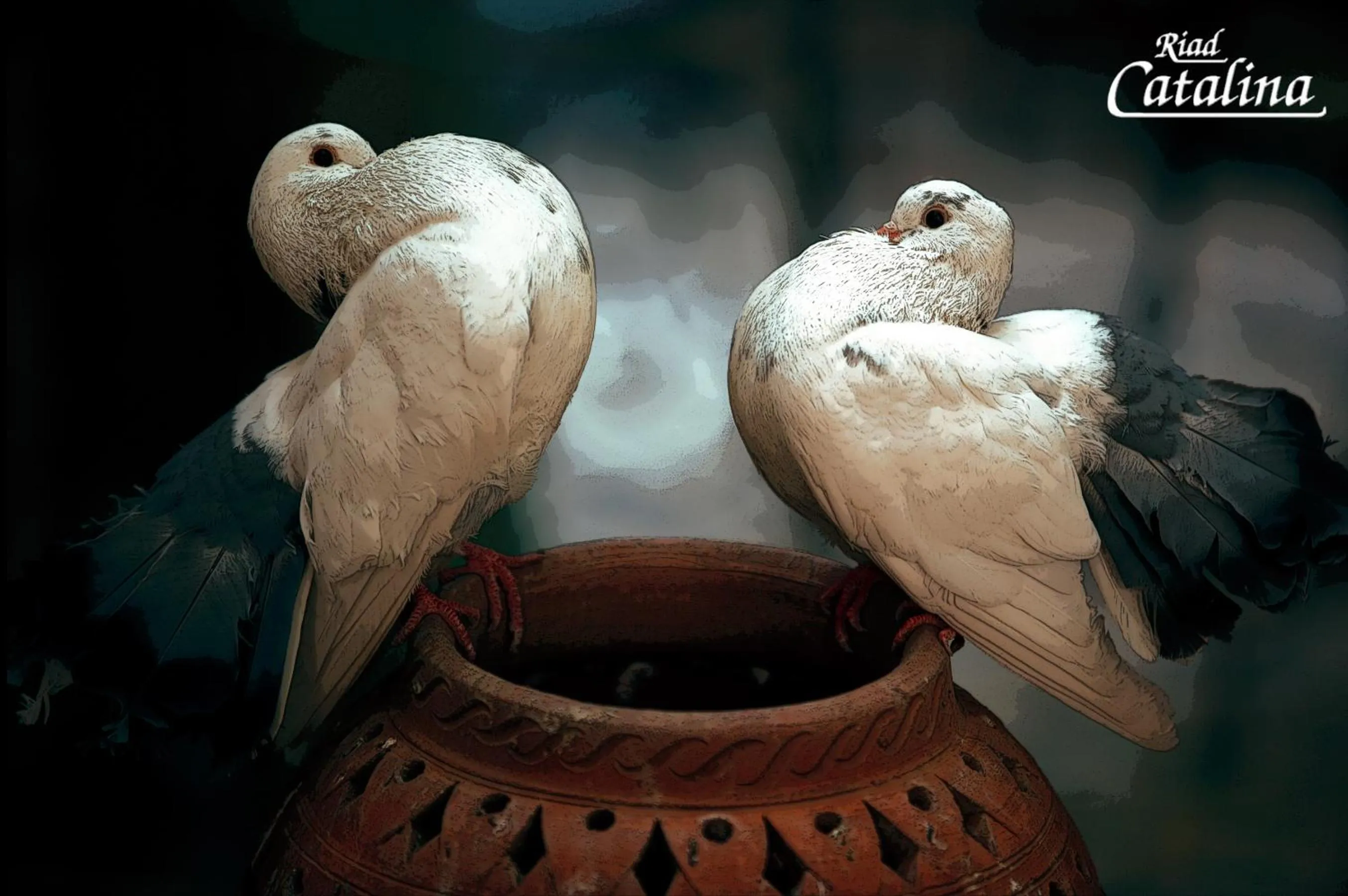 Decorative detail in Riad Catalina