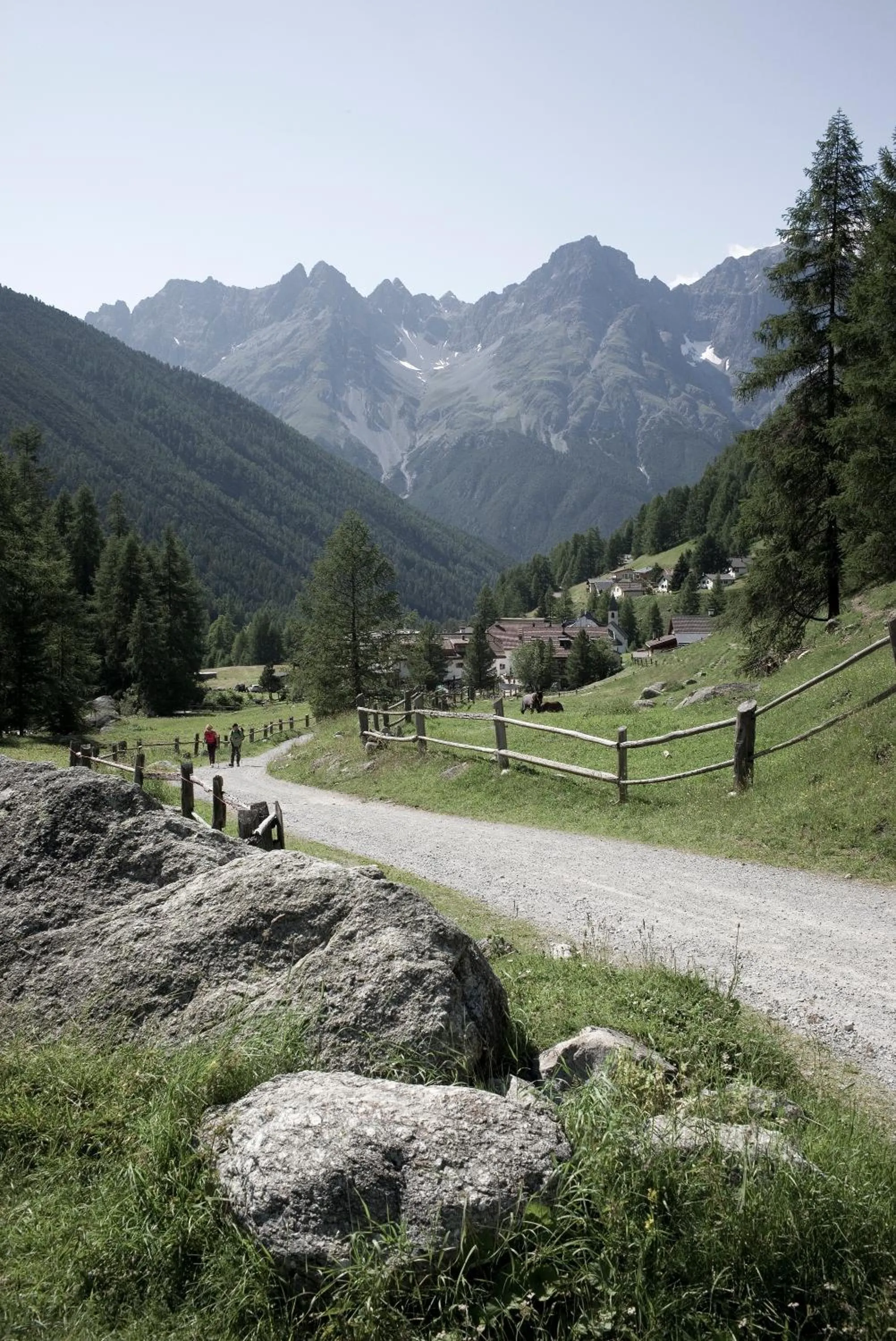 Natural landscape in Alpengasthof Crusch Alba ed Alvetern, S-charl