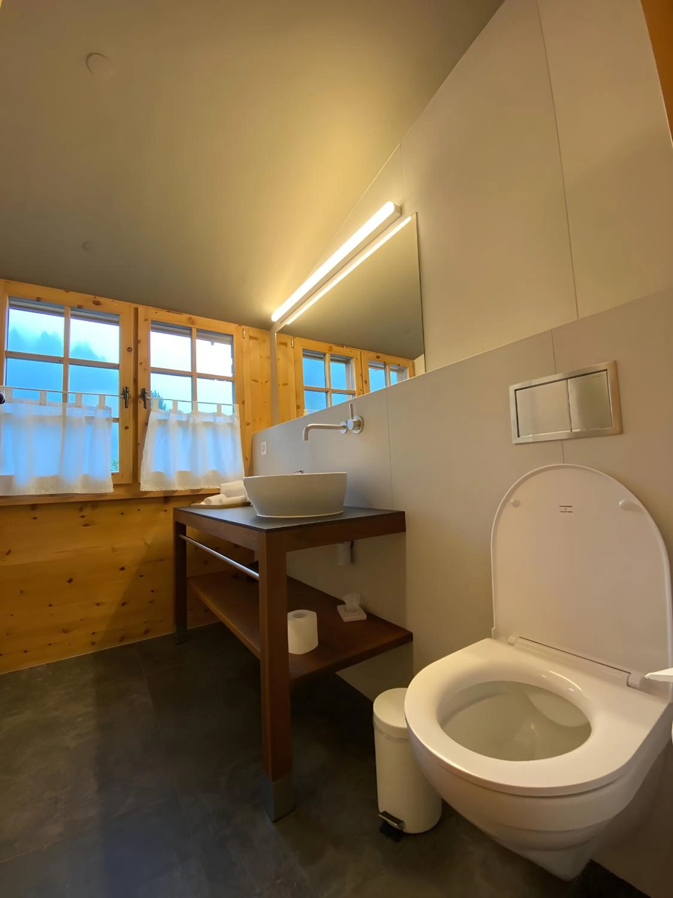 Toilet in Alpengasthof Crusch Alba ed Alvetern, S-charl