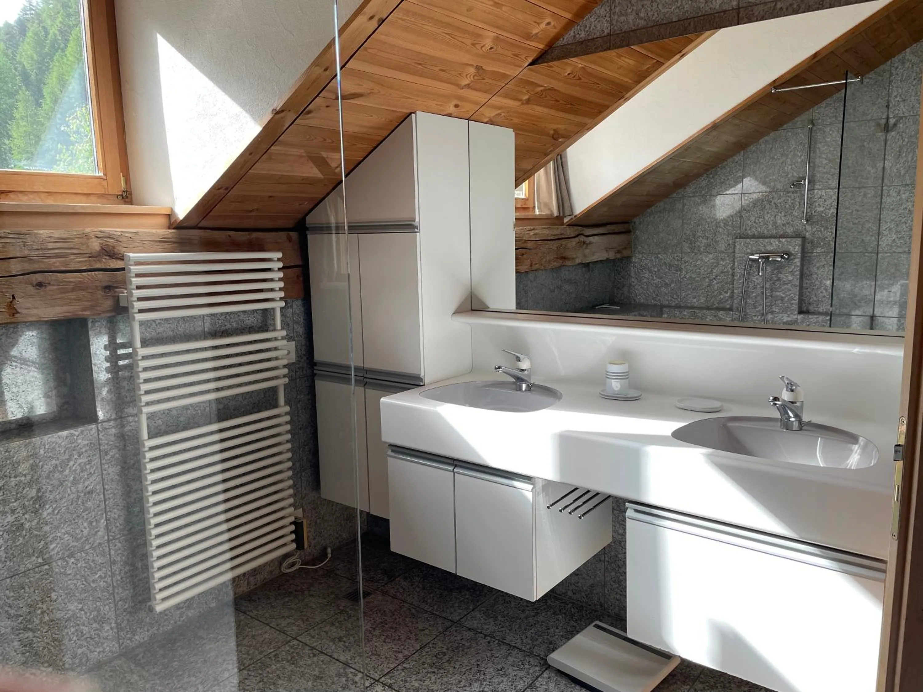 Bathroom in Alpengasthof Crusch Alba ed Alvetern, S-charl