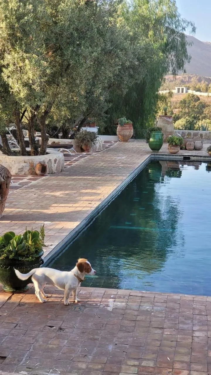 Sel d Ailleurs, Ouirgan - adults only