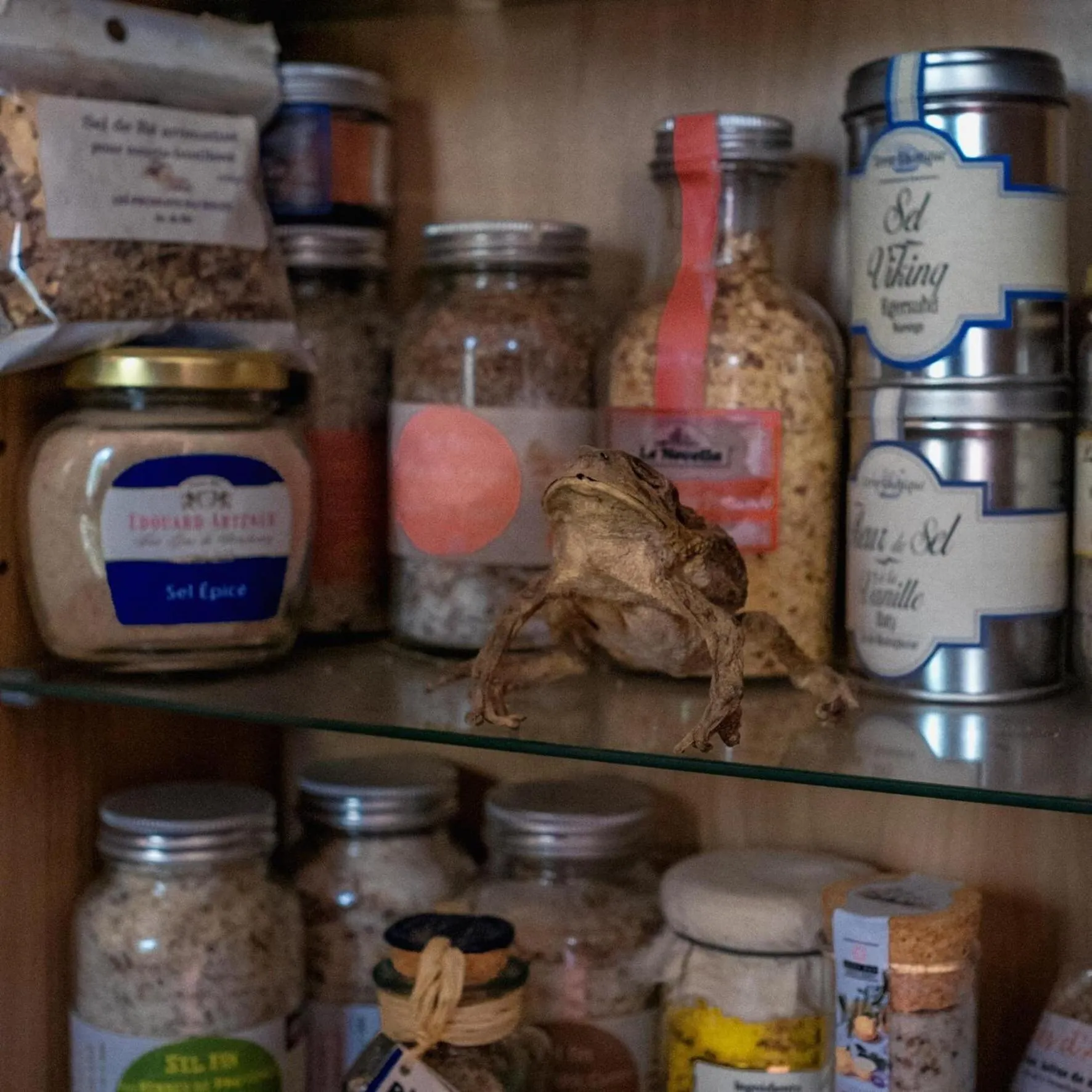 Sel d Ailleurs, Ouirgan - adults only