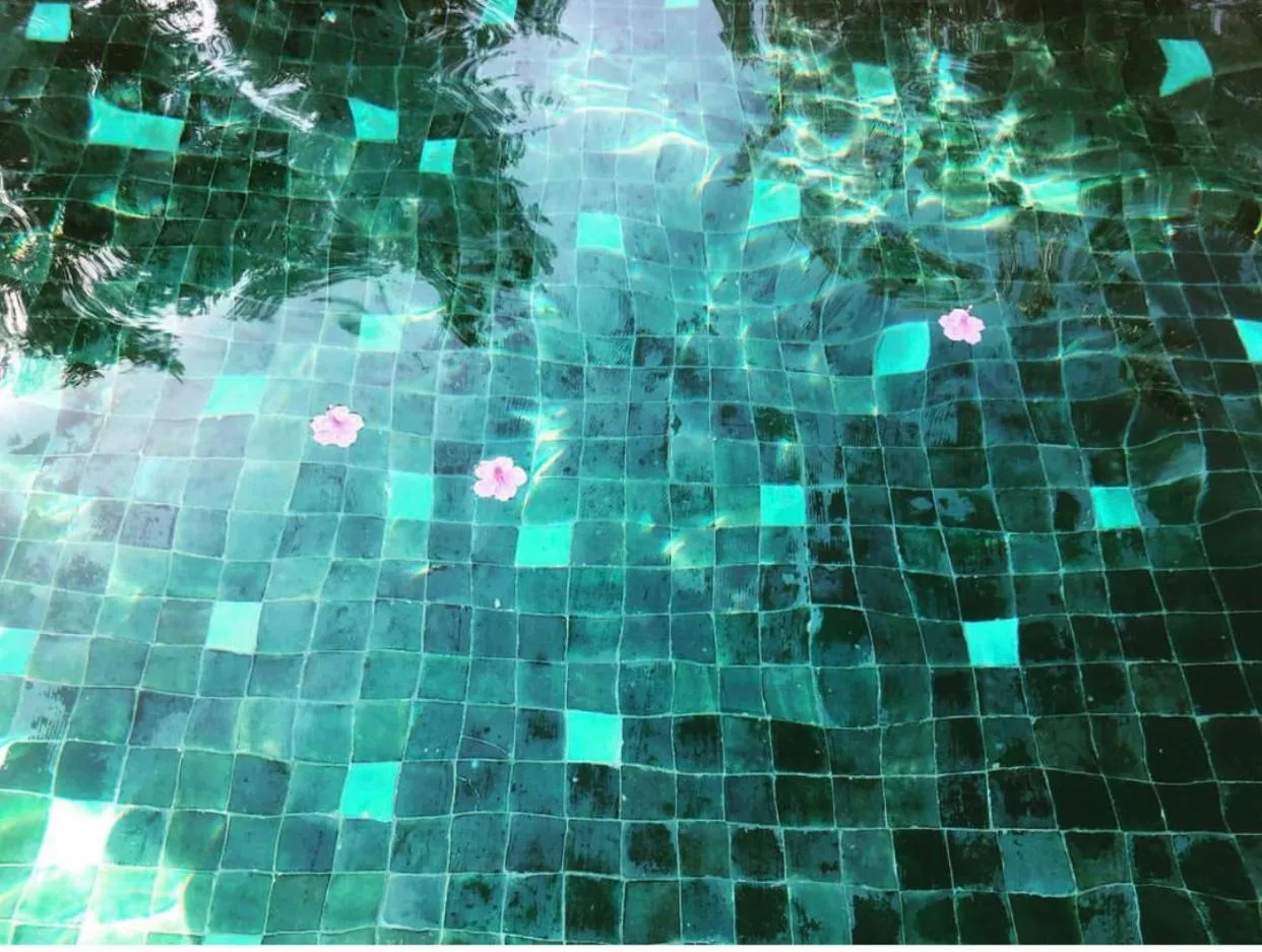 Sel d Ailleurs, Ouirgan - adults only