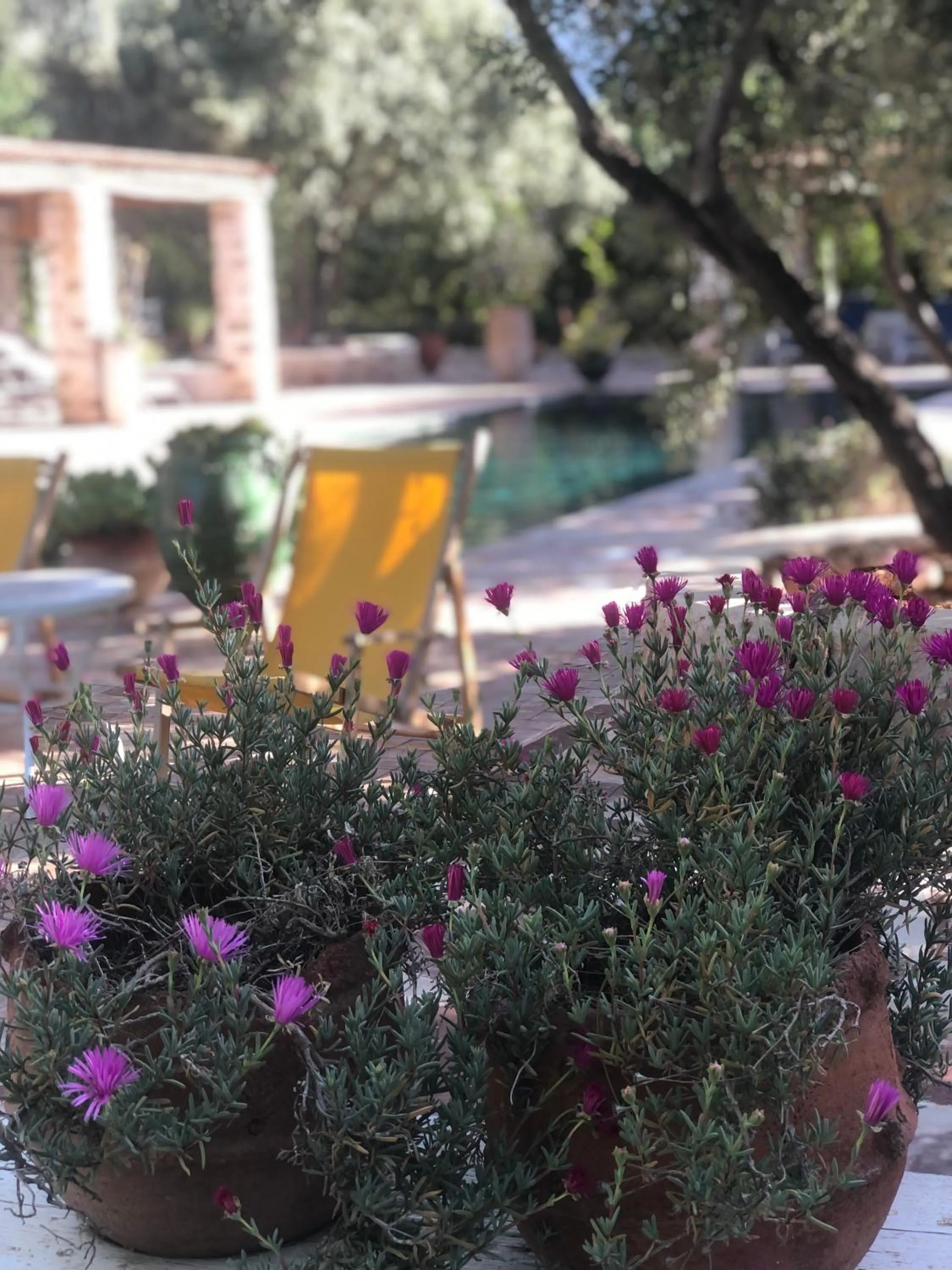 Sel d Ailleurs, Ouirgan - adults only