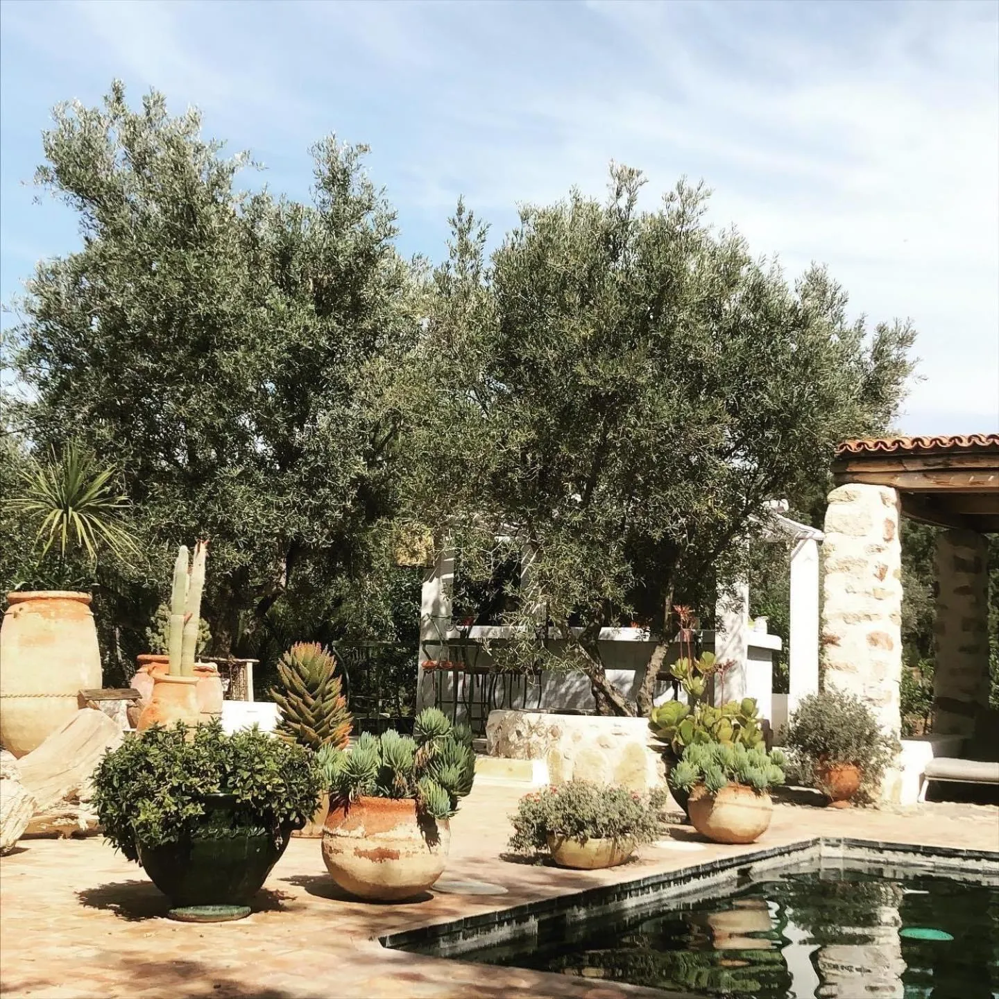 Sel d Ailleurs, Ouirgan - adults only