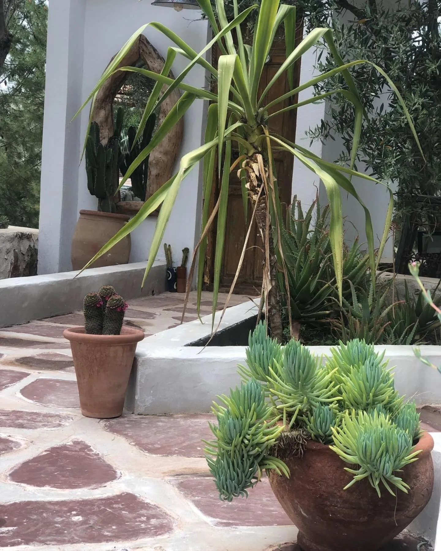 Sel d Ailleurs, Ouirgan - adults only