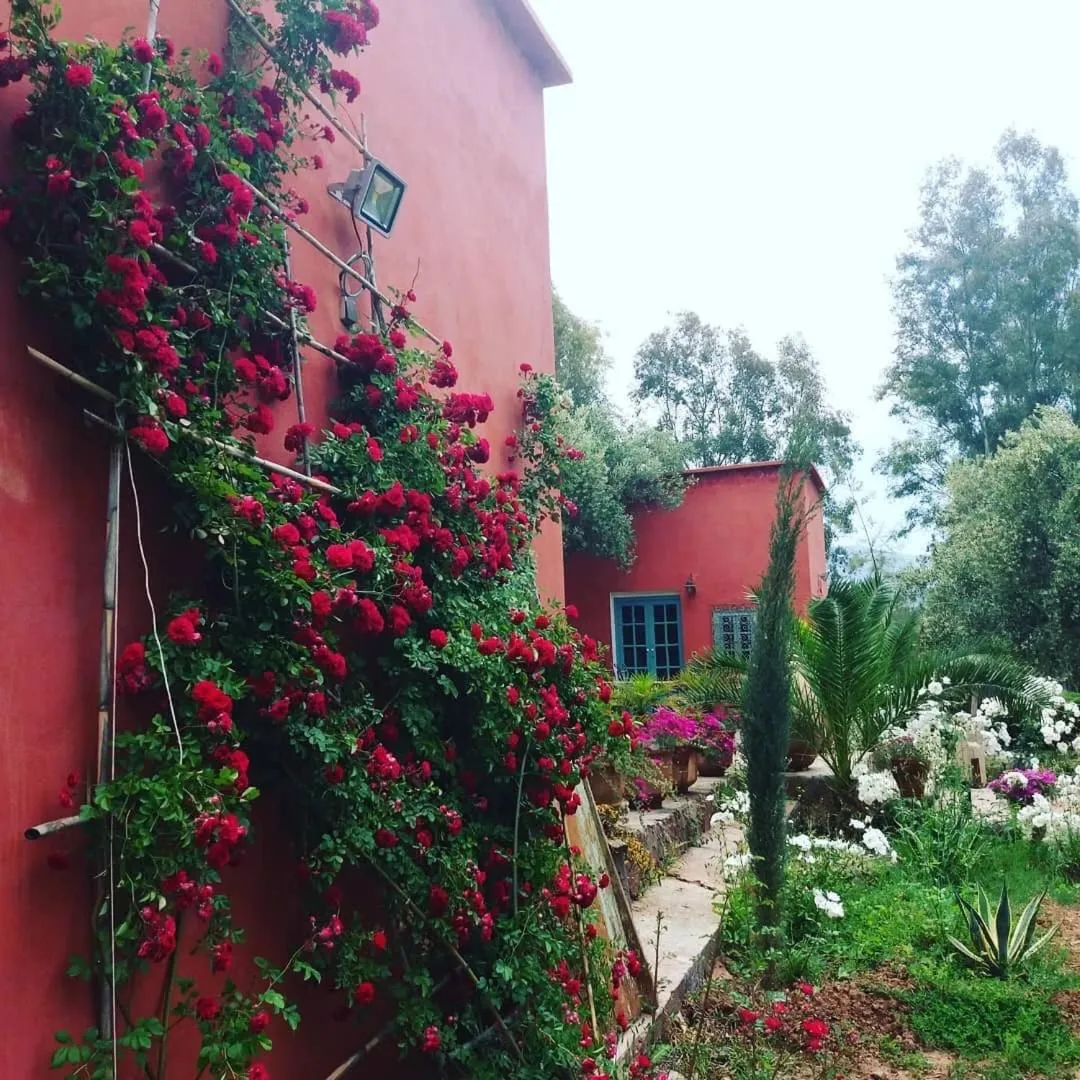 Sel d Ailleurs, Ouirgan - adults only