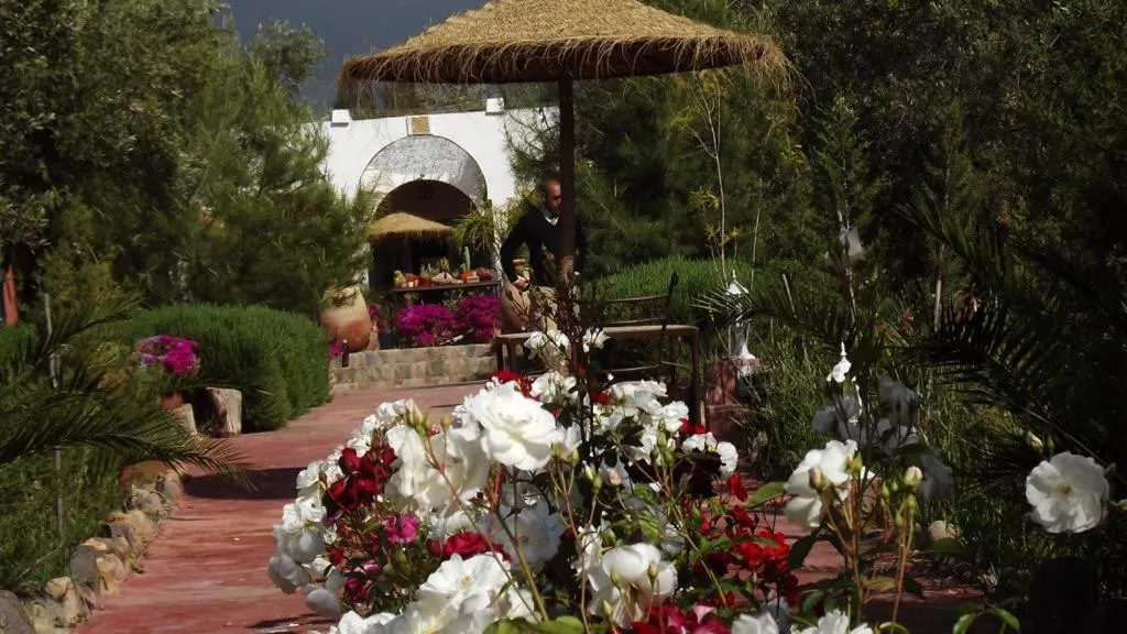 Sel d Ailleurs, Ouirgan - adults only