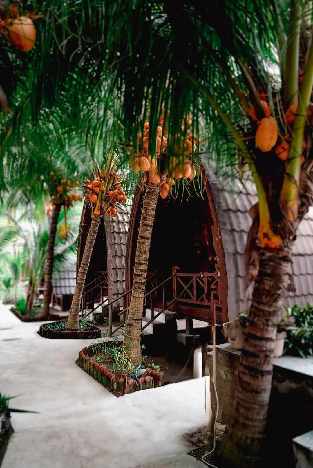 Day in Hakuna Matata Resort Gili Air