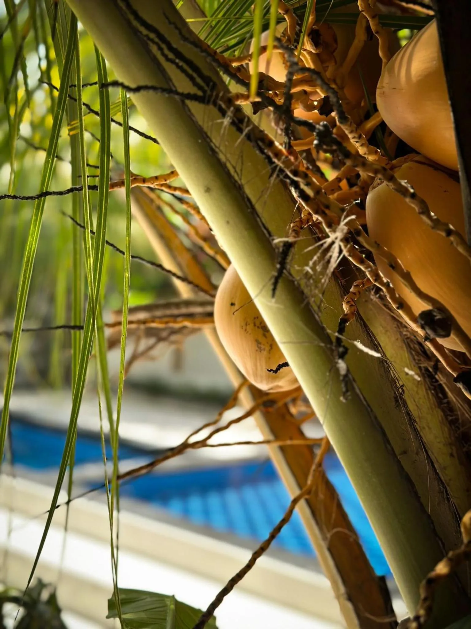 Natural landscape in Hakuna Matata Resort Gili Air