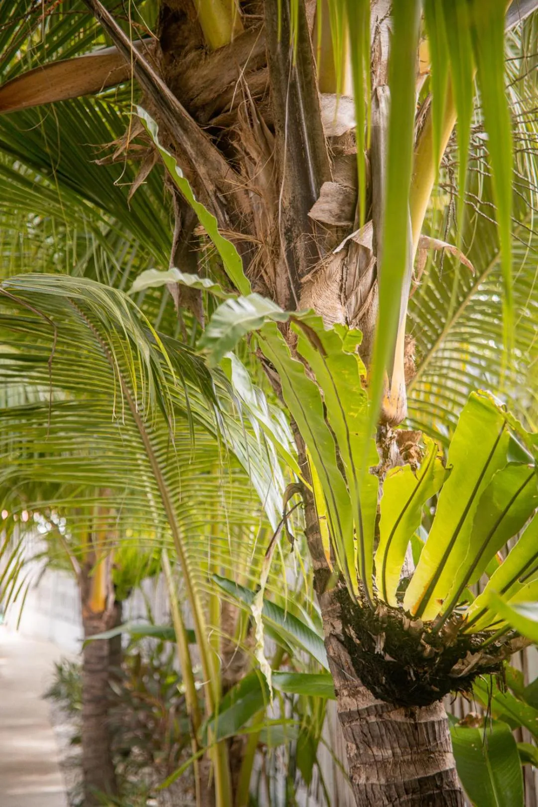 Natural landscape in Hakuna Matata Resort Gili Air
