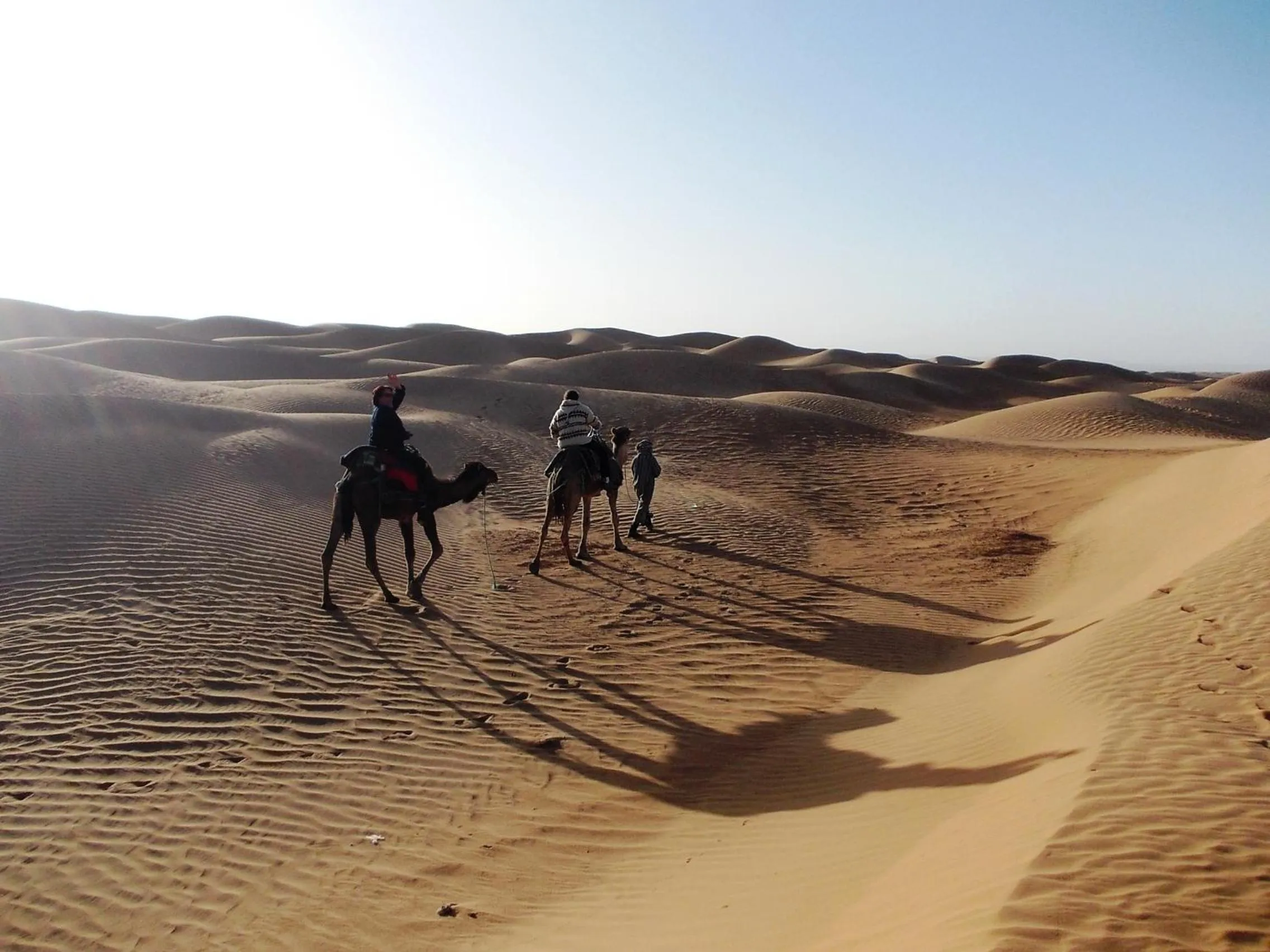 Area and facilities in La Perle Du Drâa