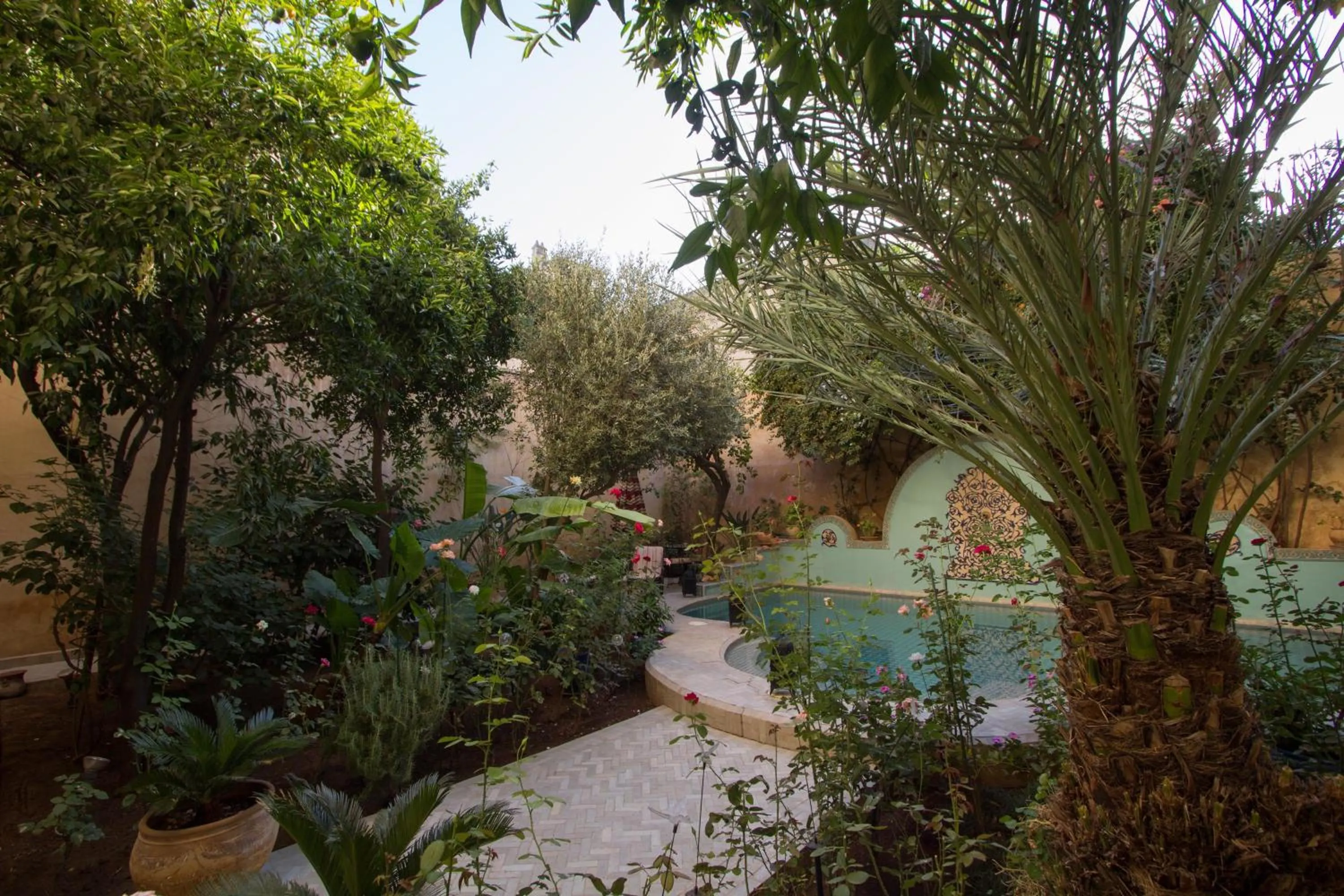 Garden in Riad Norma