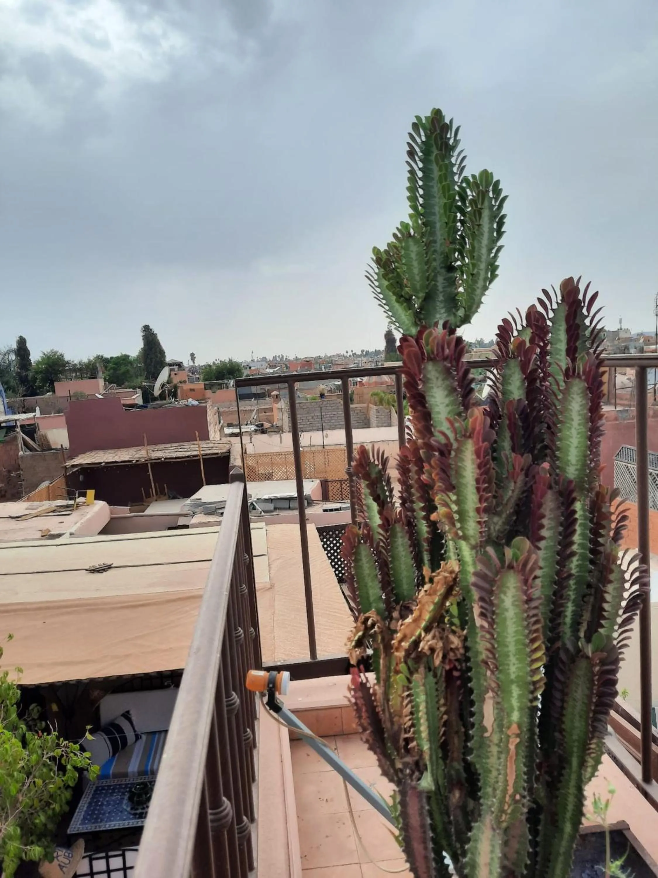 Balcony/Terrace in Riad Aubrac