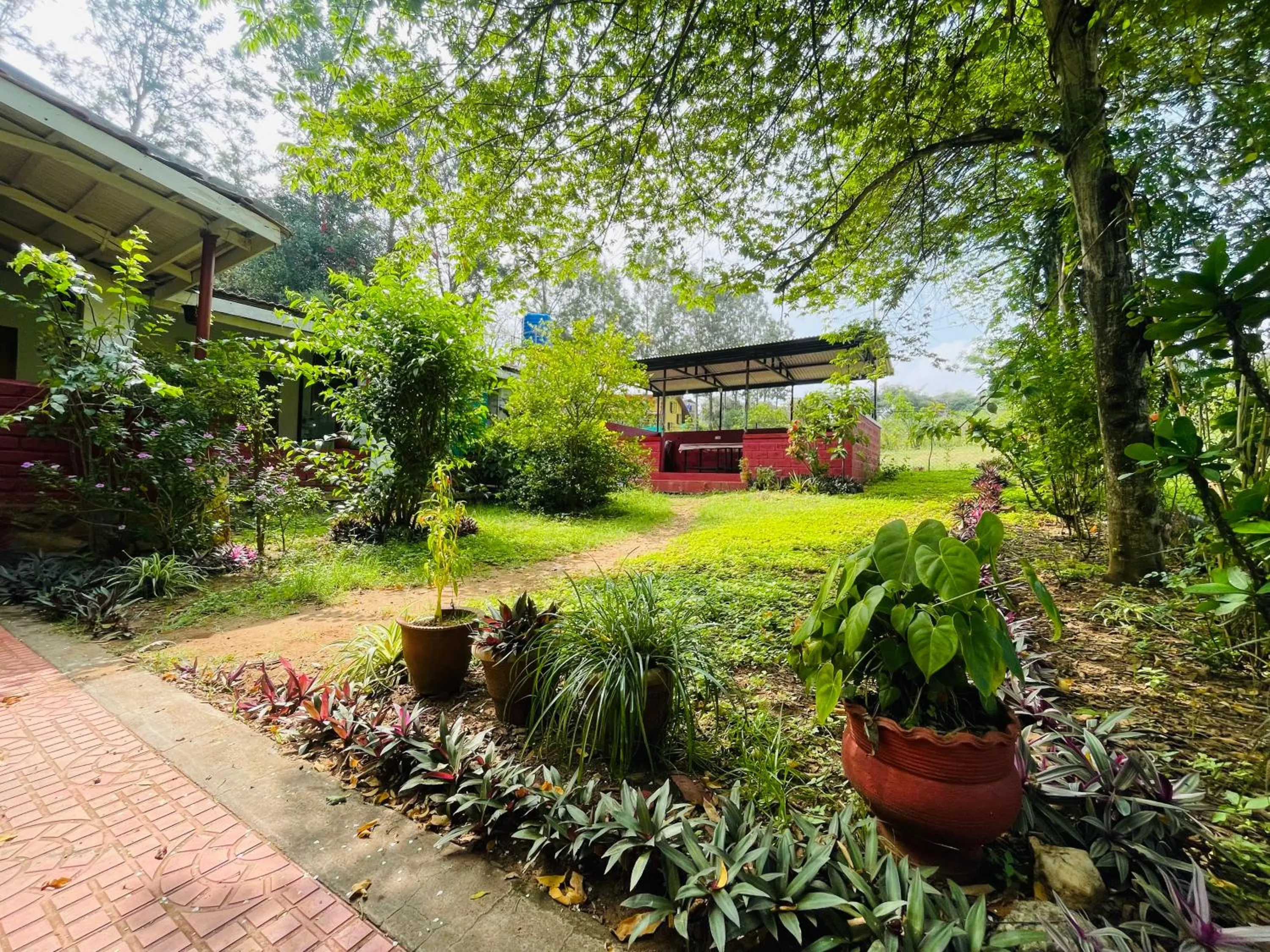 Garden view in Wild Valley Club