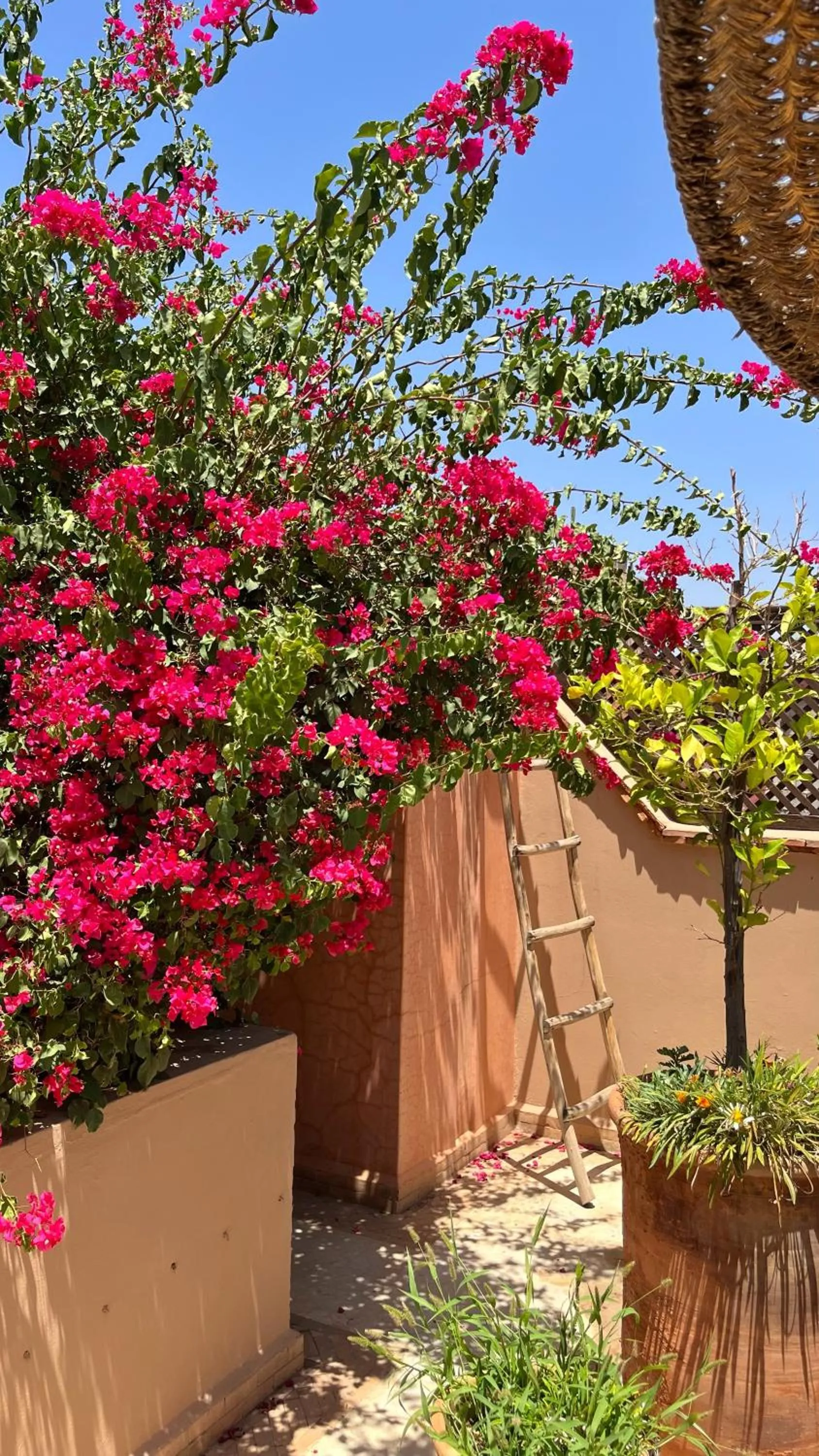 Balcony/Terrace in Riad Dar Zaman