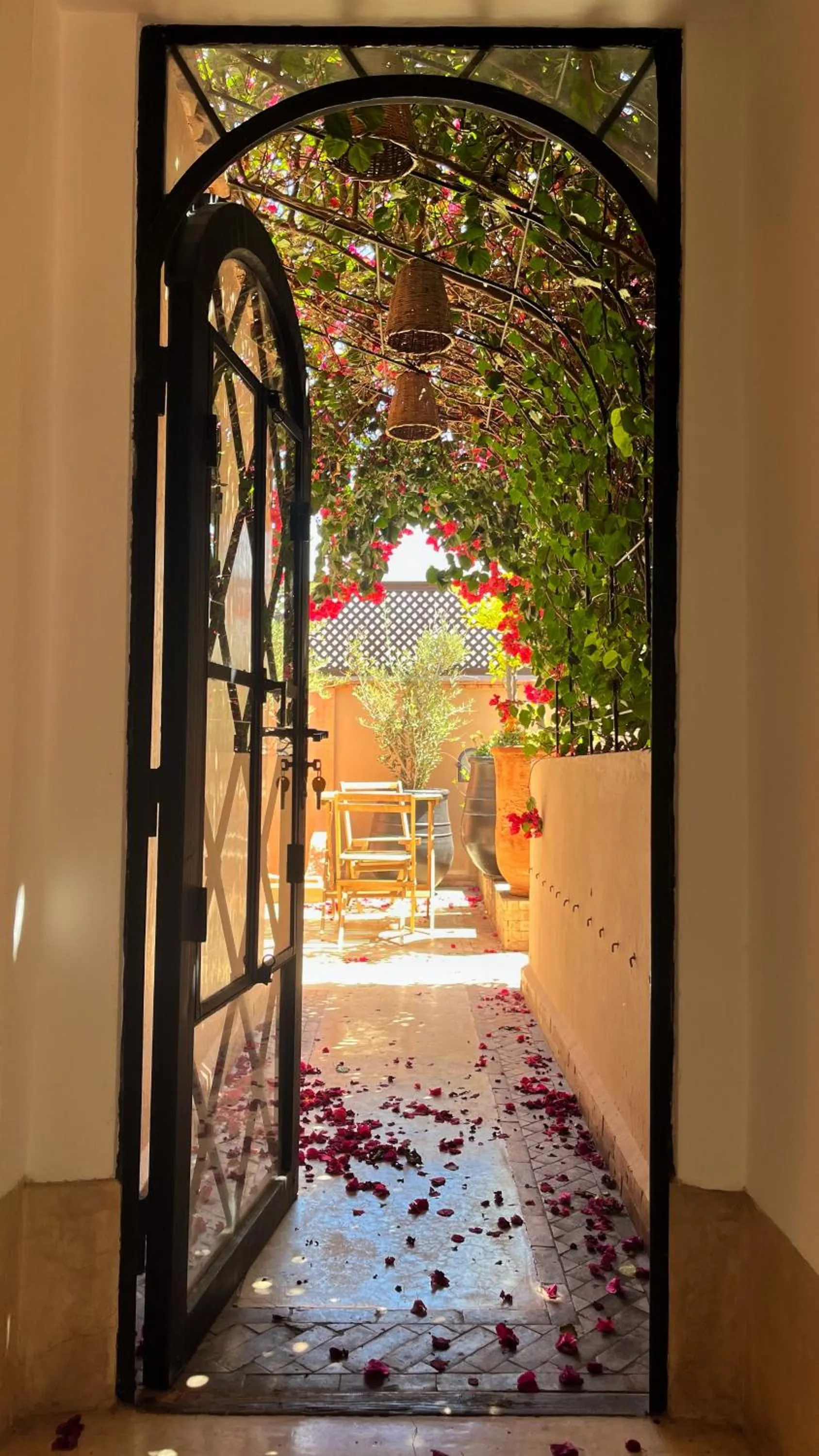 Balcony/Terrace in Riad Dar Zaman