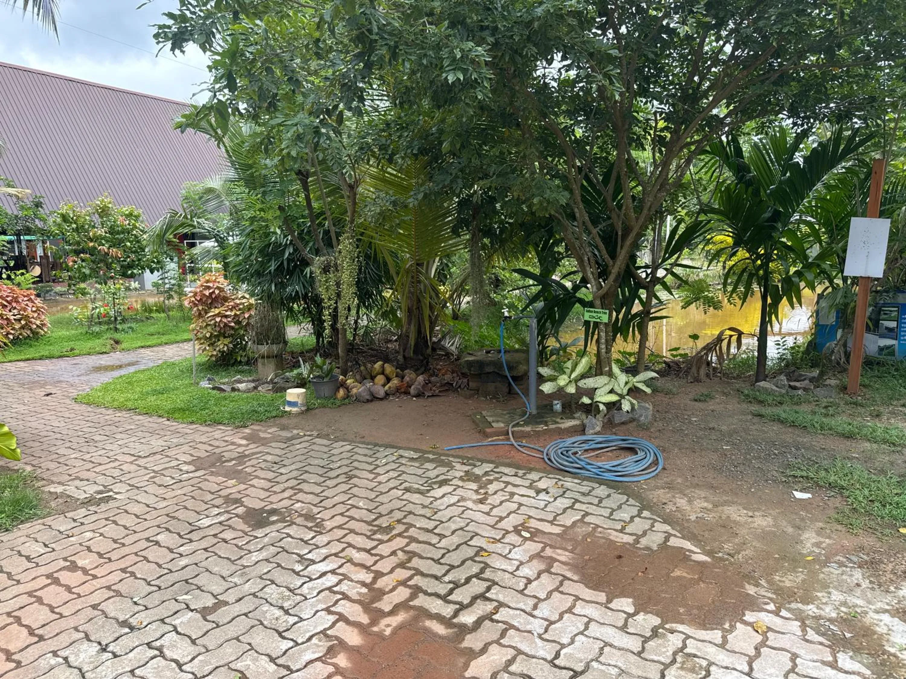 Natural landscape in Steps Garden Resort