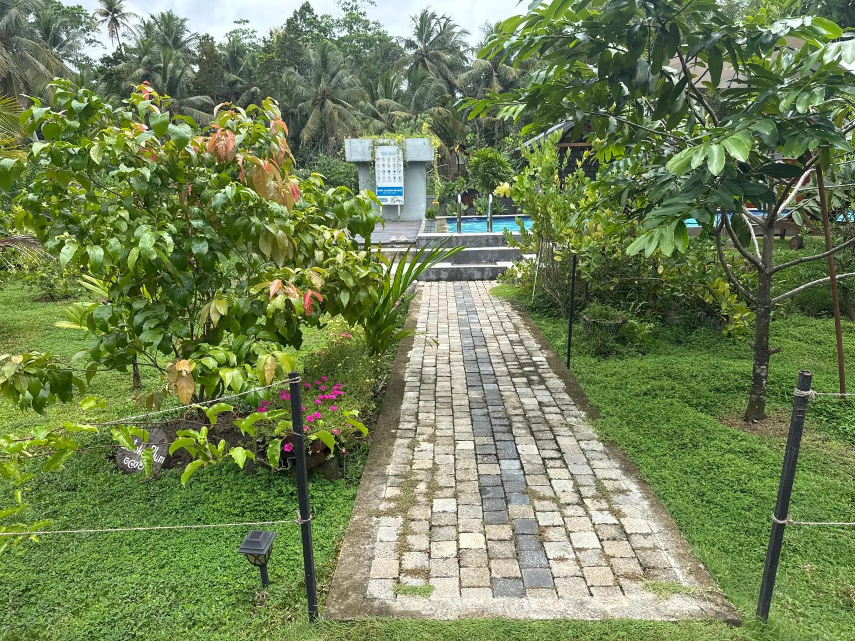 Swimming pool in Steps Garden Resort